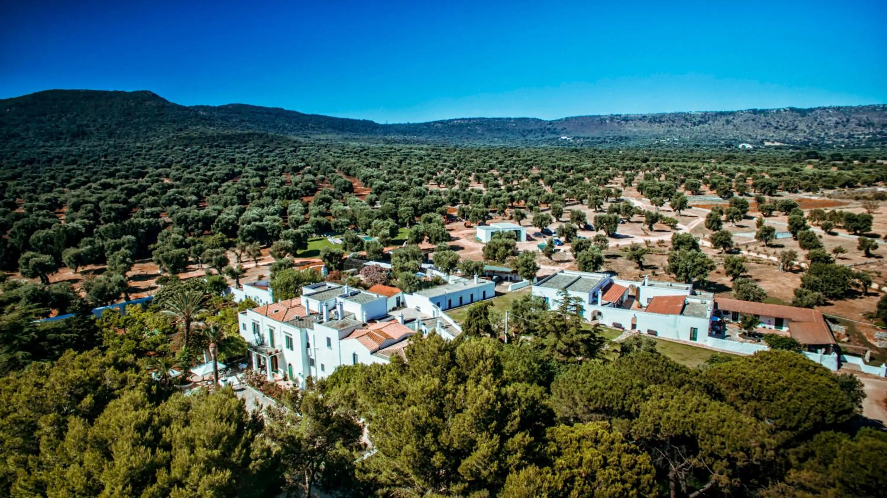 Bird's eye view in Masseria Il Frantoio