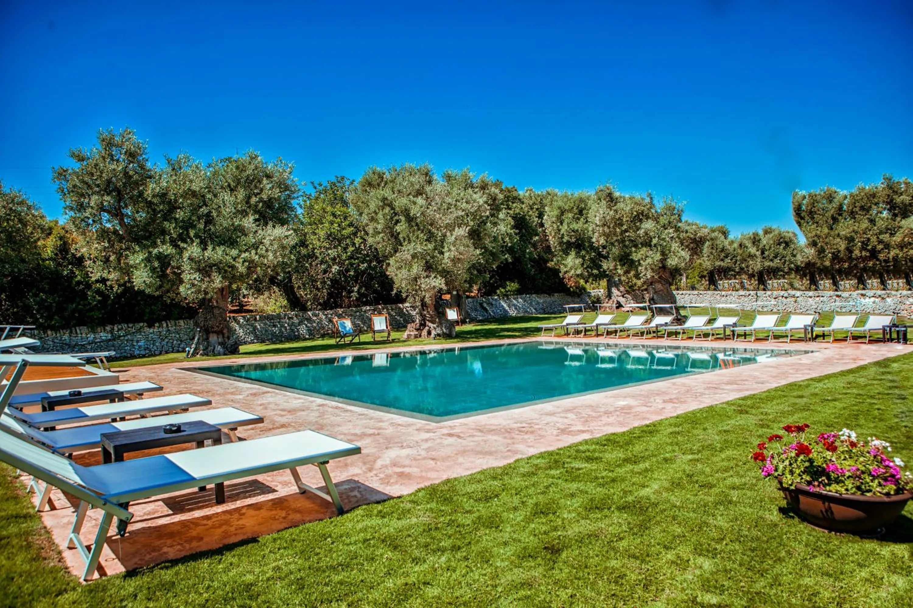 Swimming pool in Masseria Il Frantoio