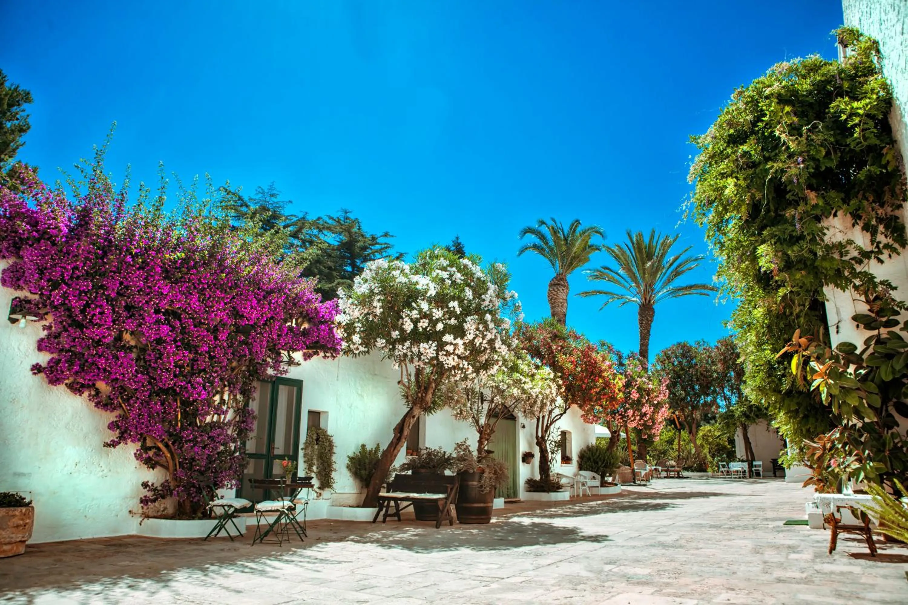 Lobby or reception in Masseria Il Frantoio