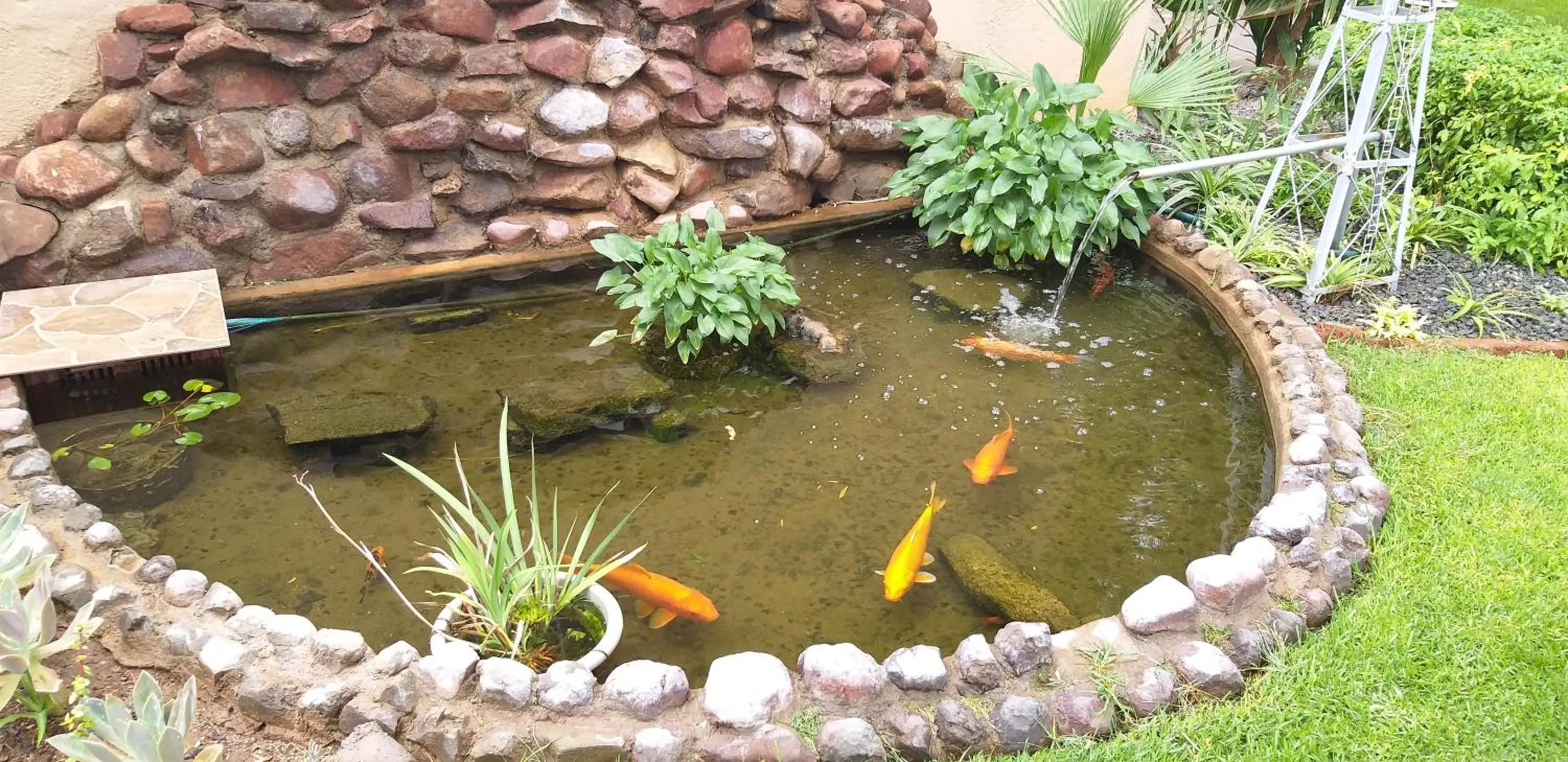 Garden in Potties Guesthouse