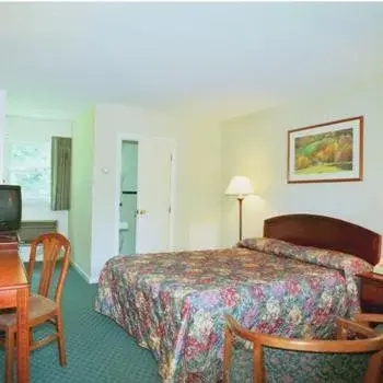 Queen Room in Hill-Brook Motel Queen Room in Hill-Brook Motel