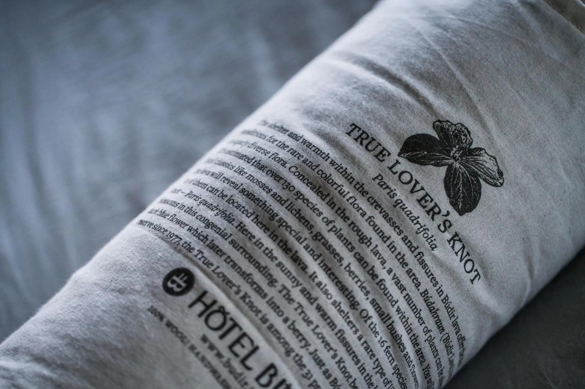 Logo/Certificate/Sign in Hotel Búdir