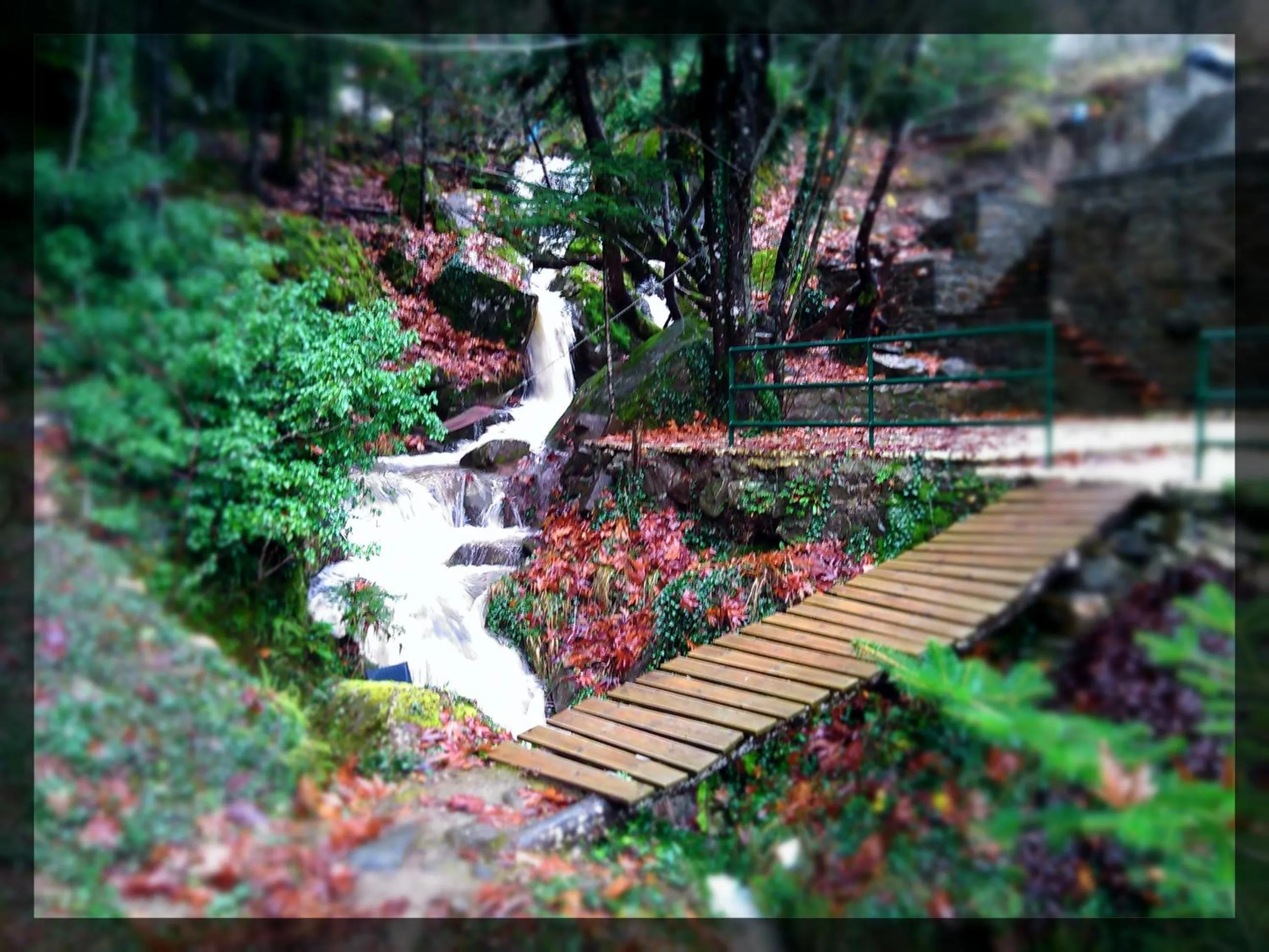 Area and facilities in Ta Petrina