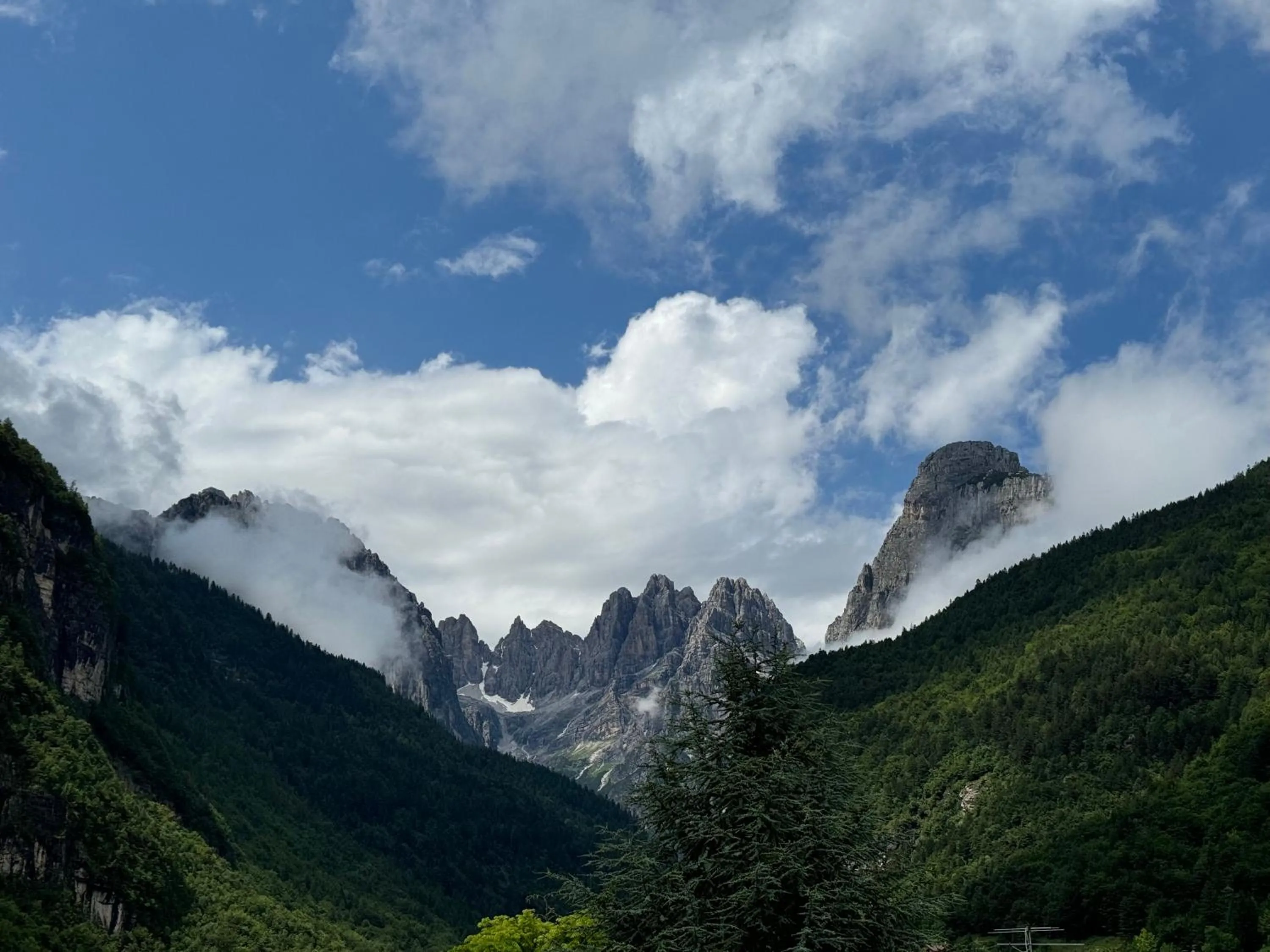 Natural landscape in Garden Hotel Bellariva
