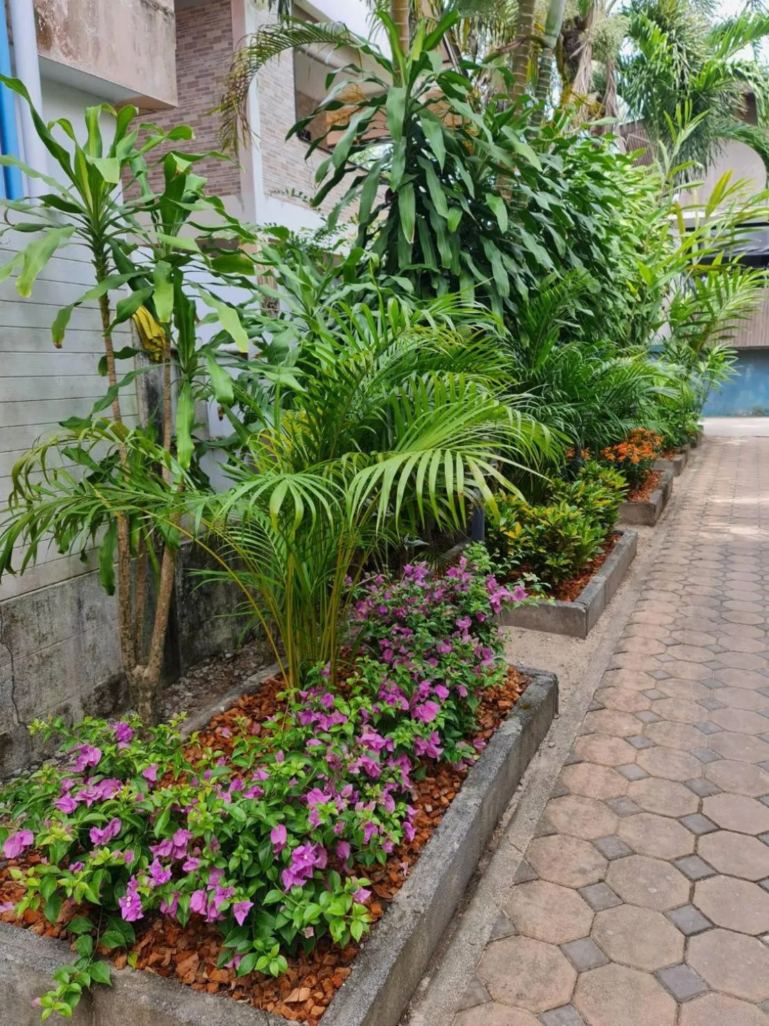 Garden in Momento Bangtao Beach