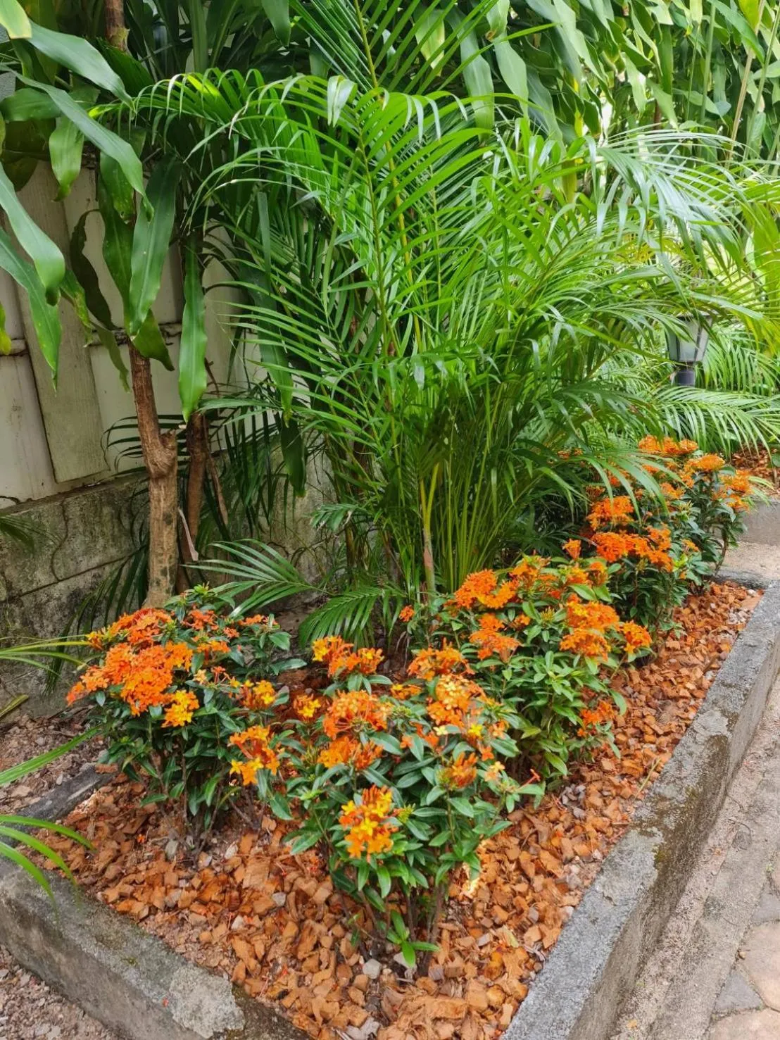 Garden in Momento Bangtao Beach