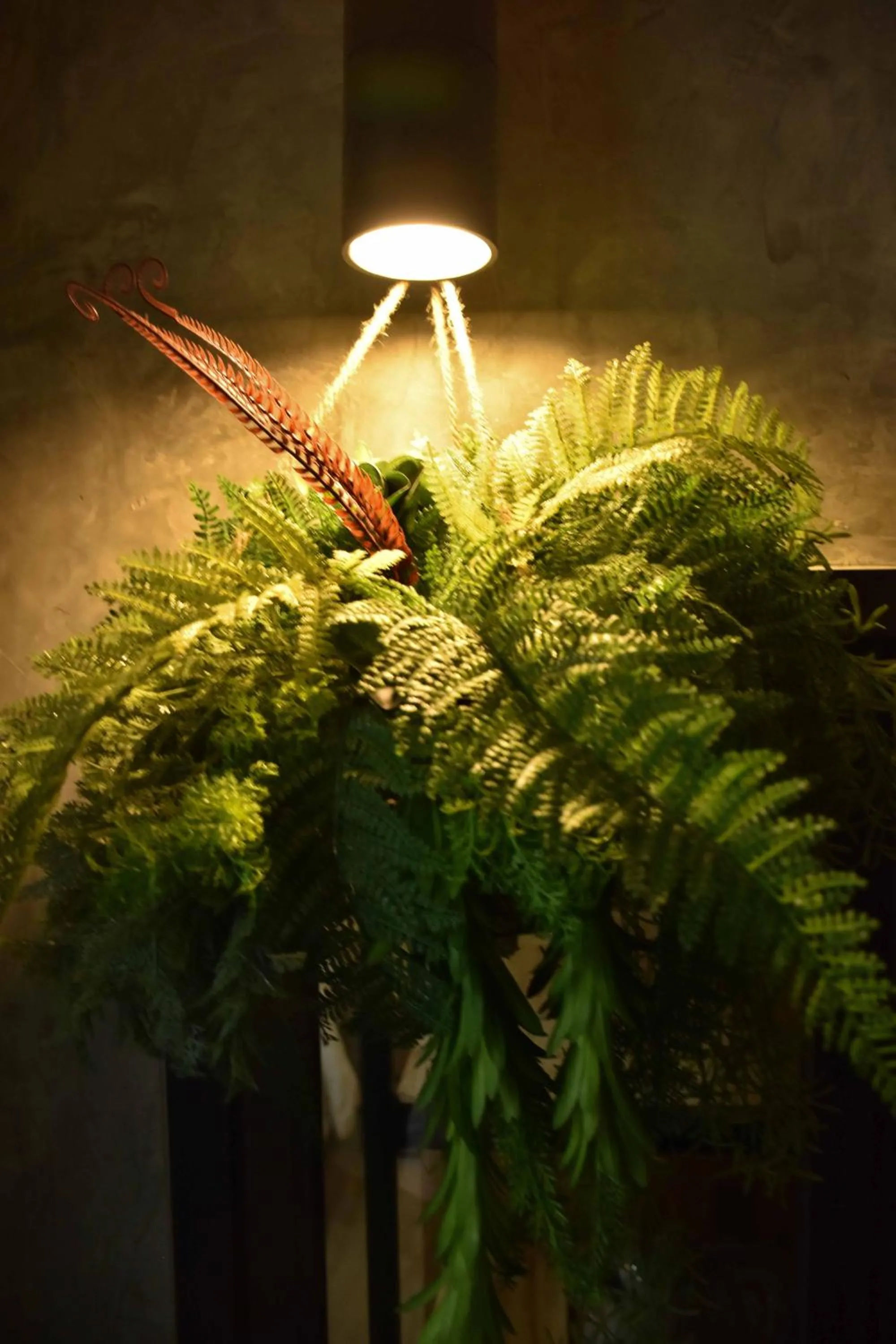 Property building in Momento Bangtao Beach