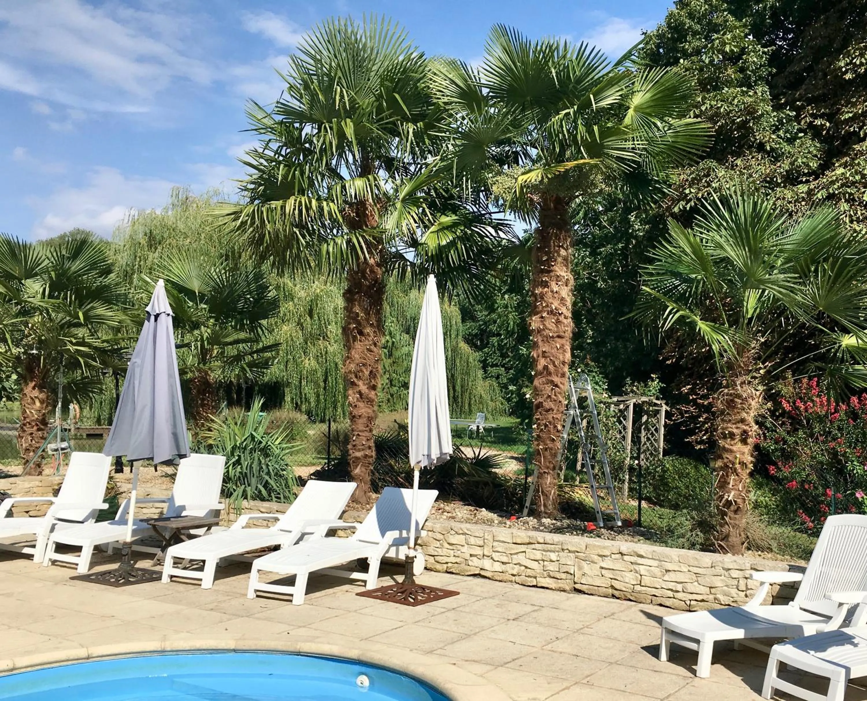 Swimming pool in CHATEAU Les VALLÉES