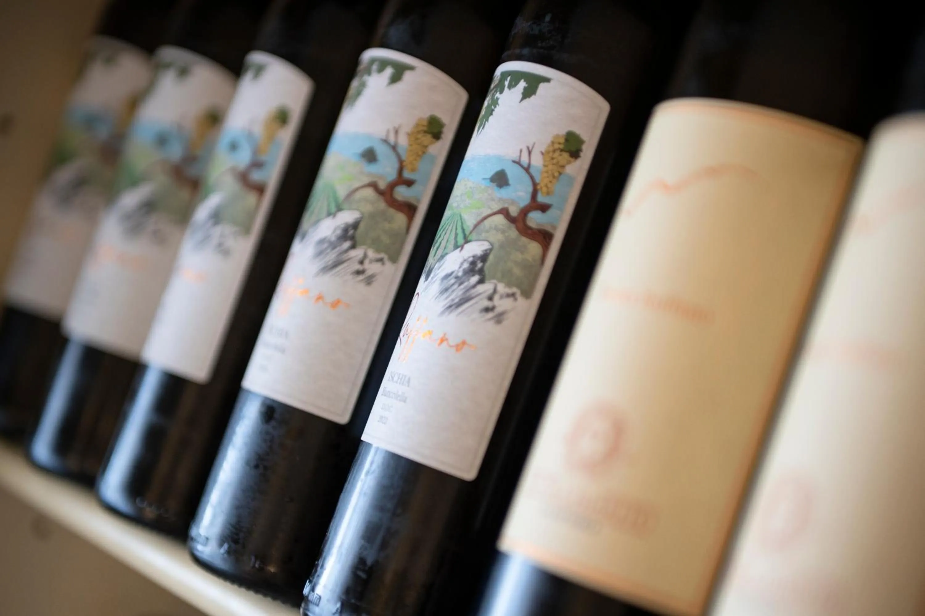 Food and drinks in Punta Chiarito Resort