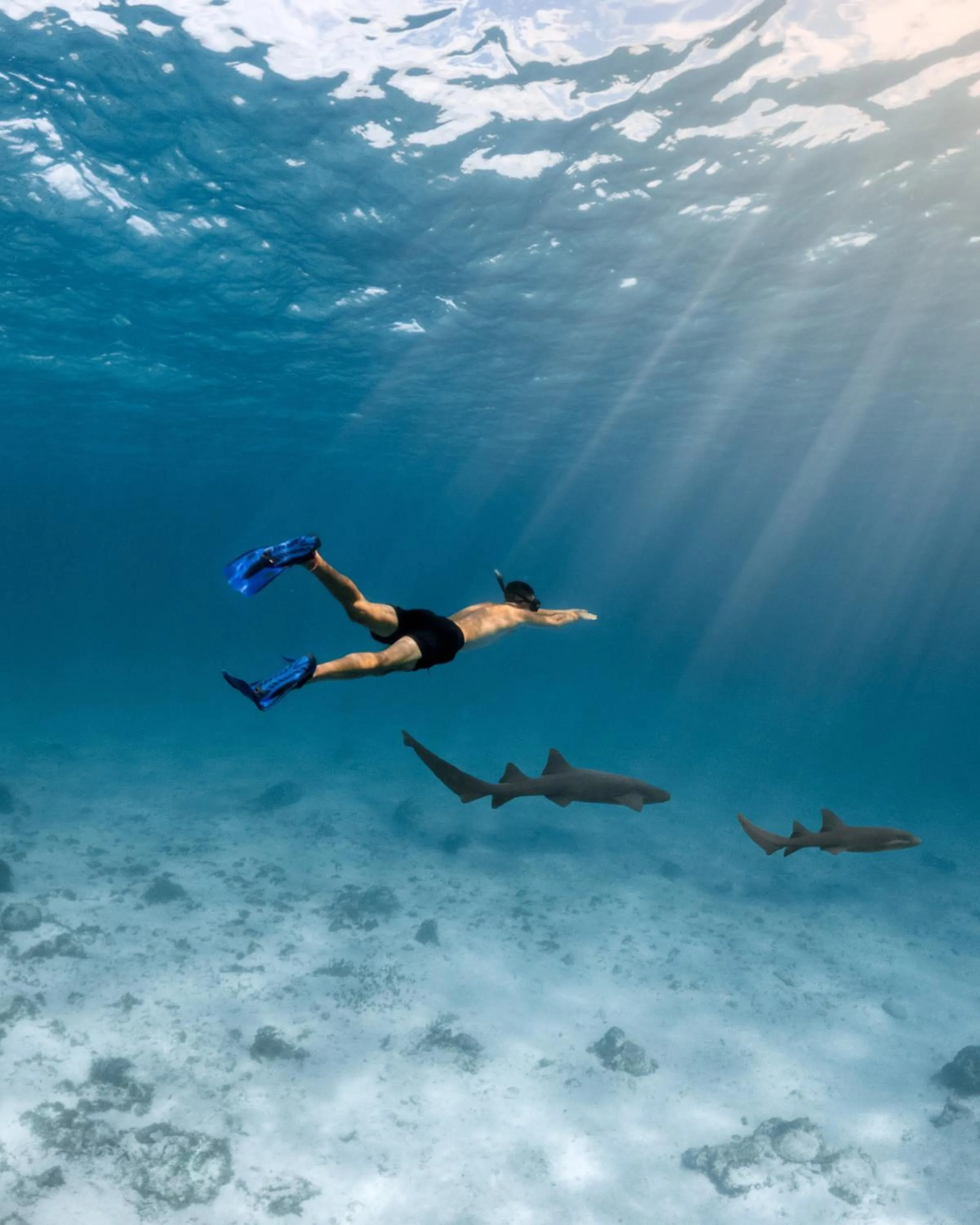Snorkeling in Hopkins Bay Belize a Muy'Ono Resort
