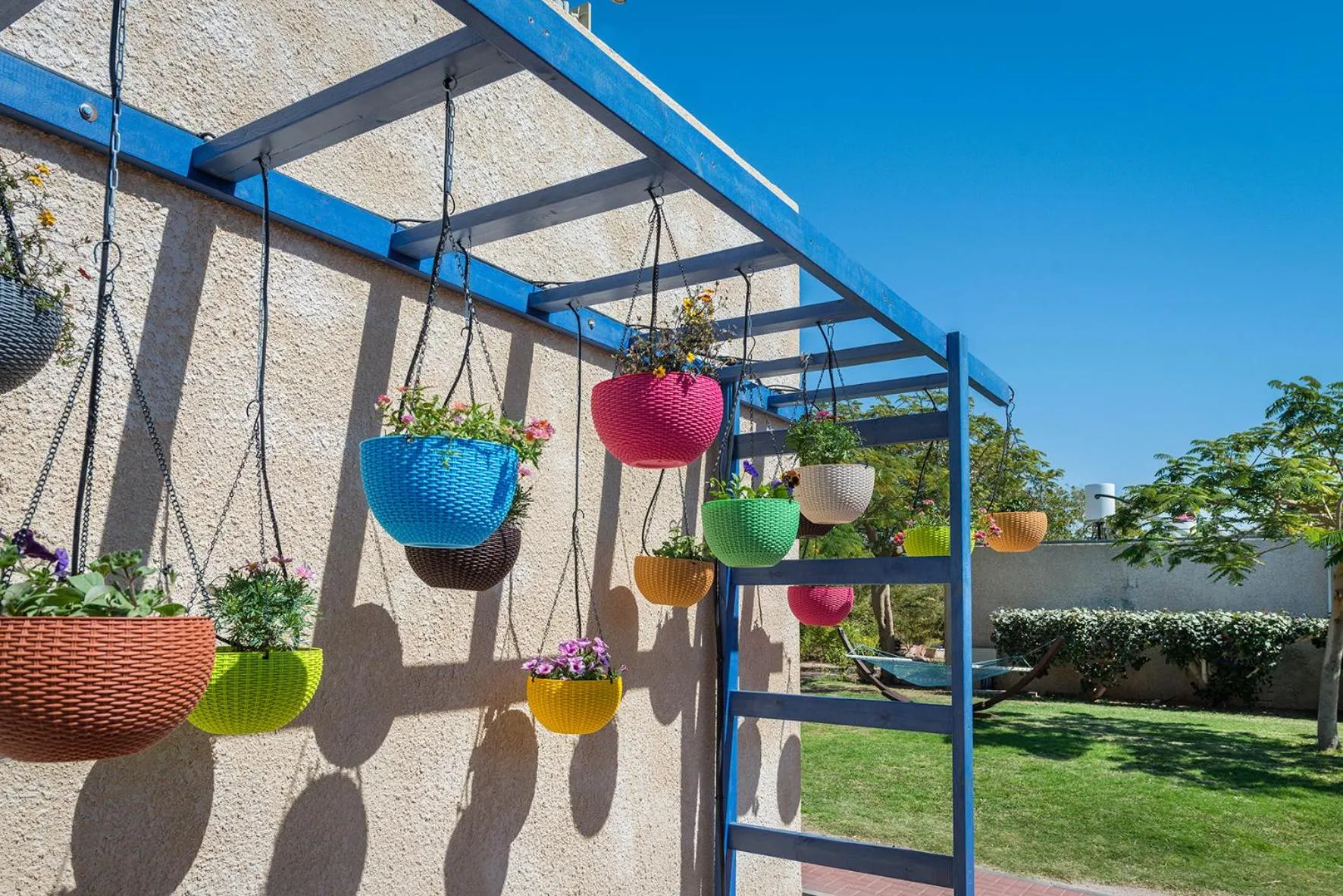 Garden view in קיבוץ אילות - חדרי אירוח עם בריכה משותפת