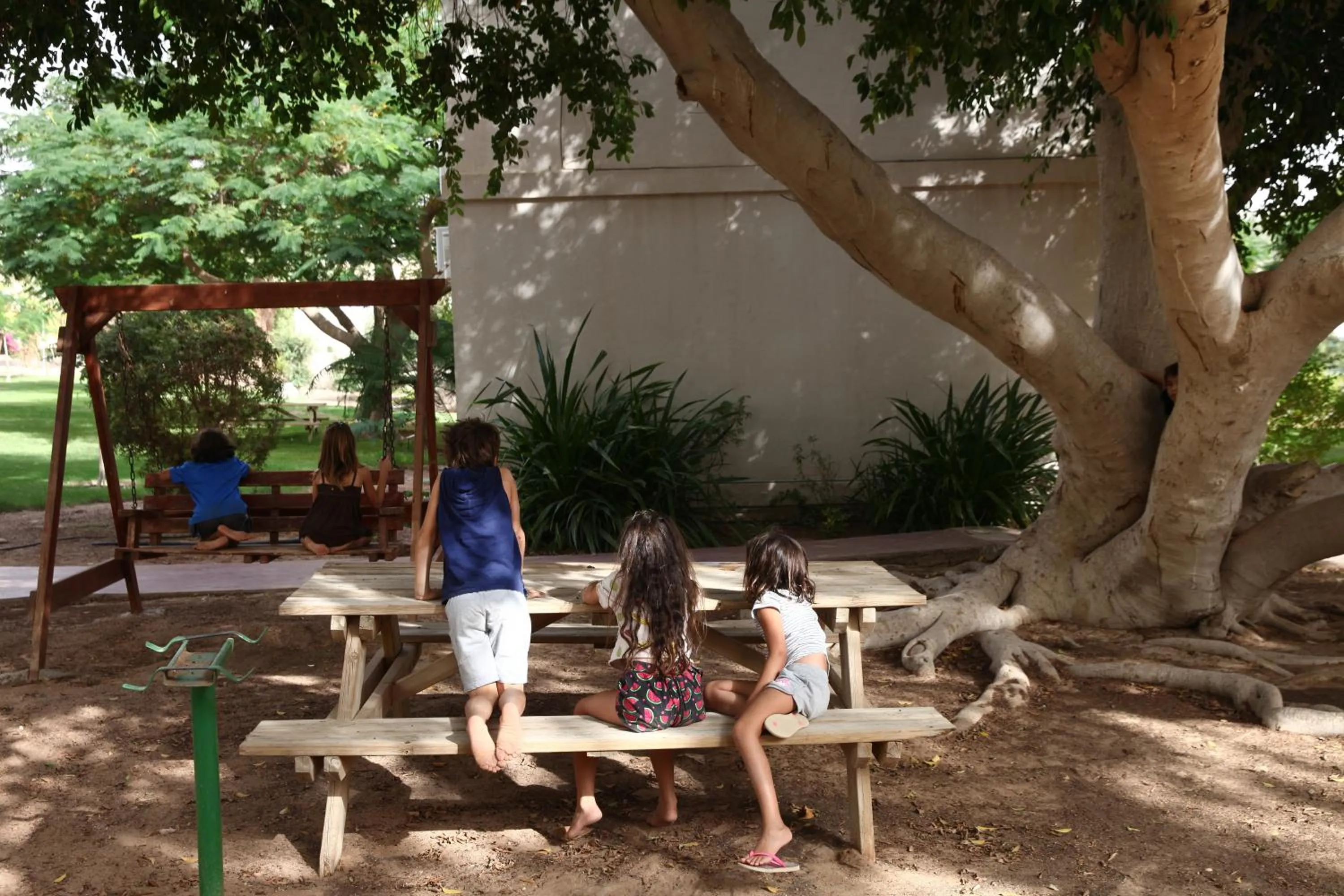 Natural landscape in קיבוץ אילות - חדרי אירוח עם בריכה משותפת