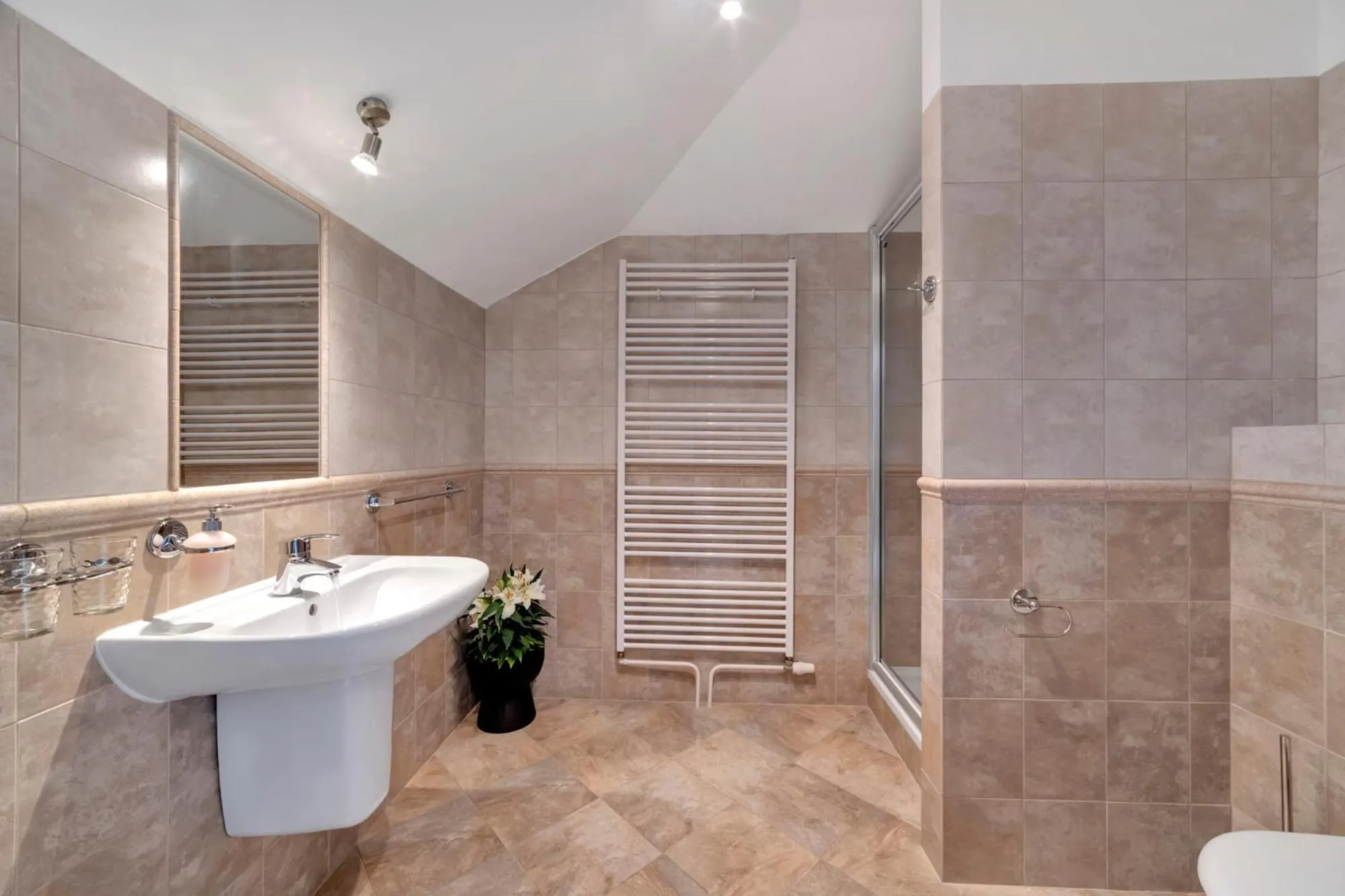 Shower in Rezidence Villa Gloria