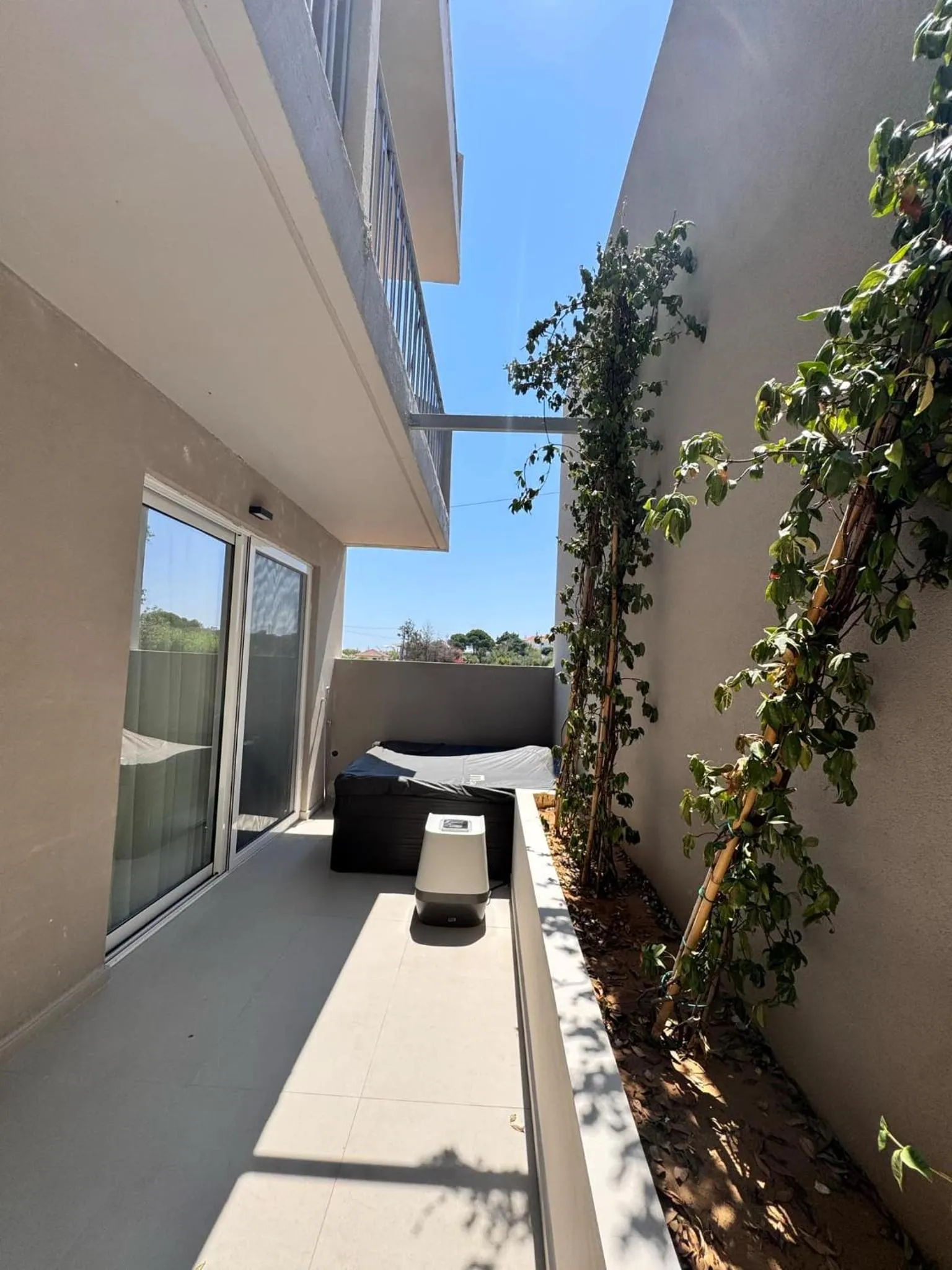 Garden in Golden Coast Beachfront Resort