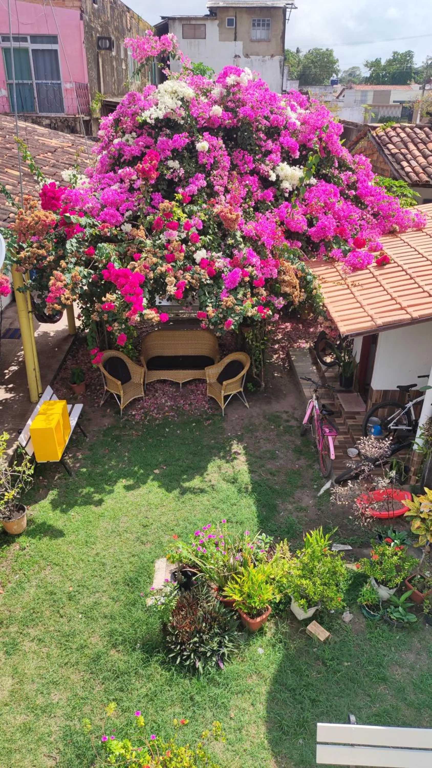Garden in Pousada Solar Encanto do Marajó