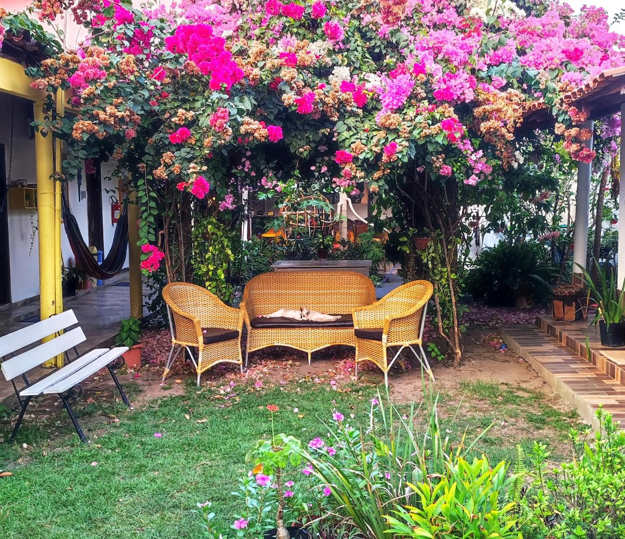Garden in Pousada Solar Encanto do Marajó