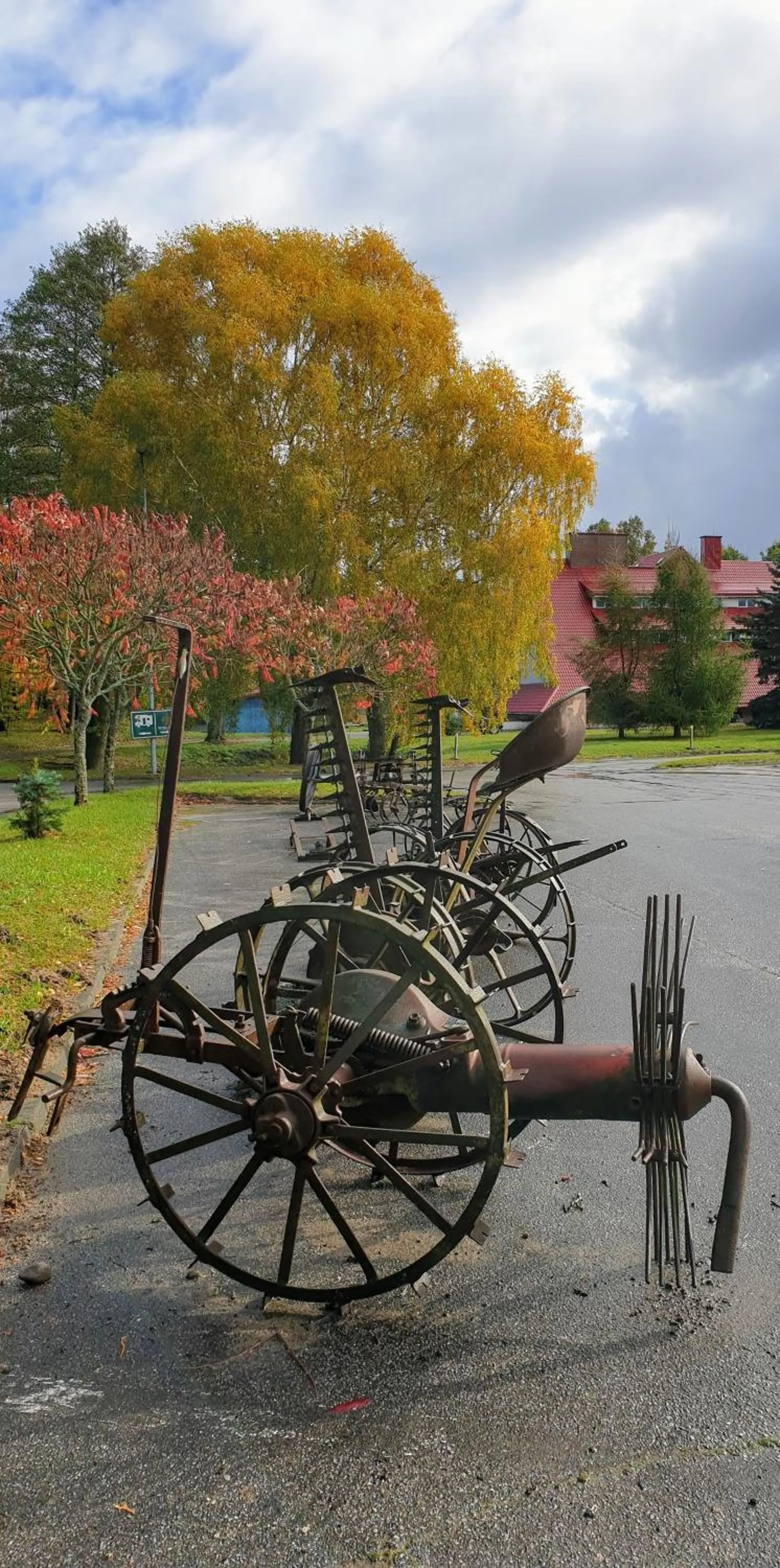 Decorative detail in Park Inn Resort przy jeziorze - sauna i duży parking - pieski mile widziane