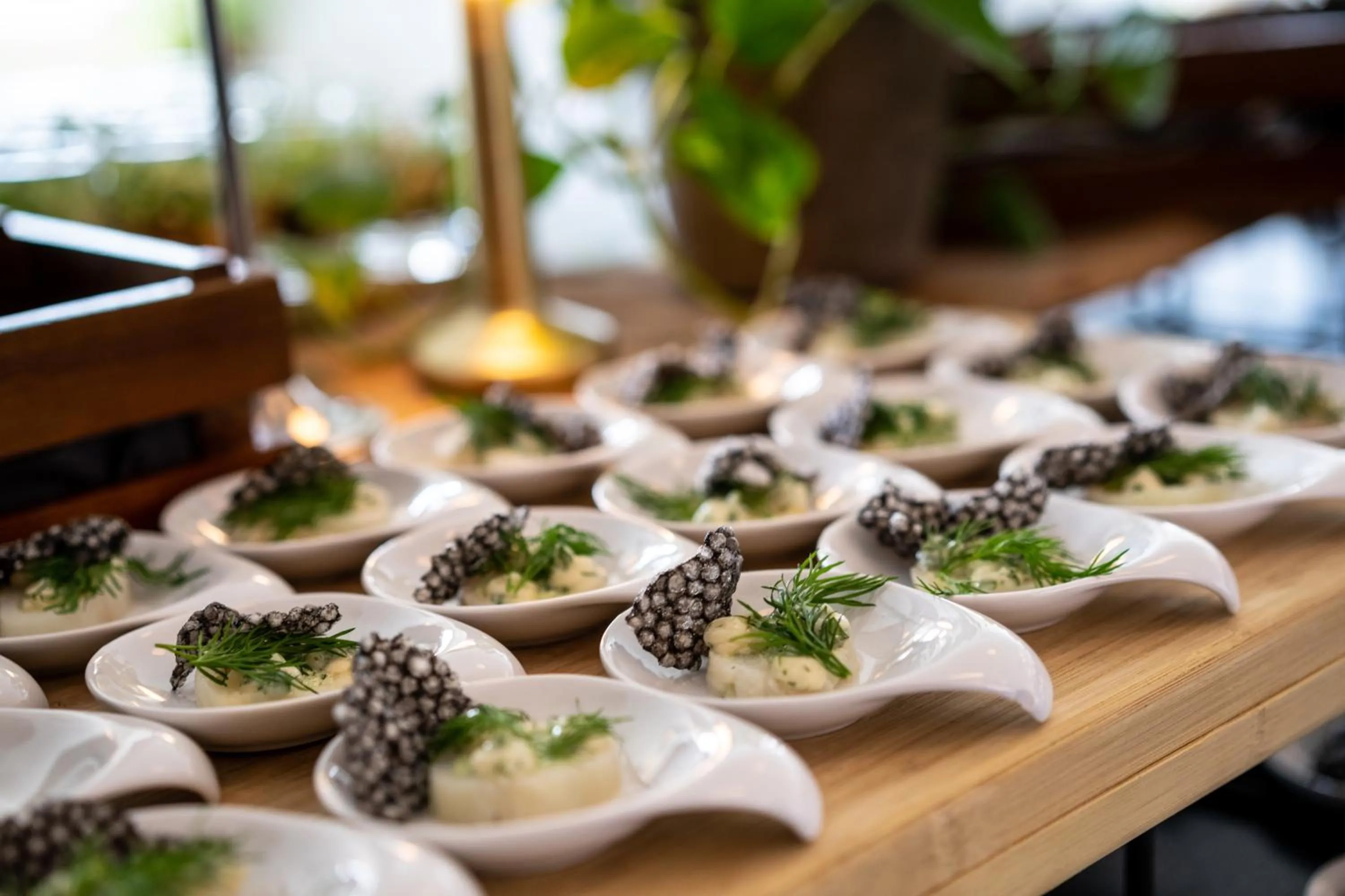 Food in Skanderborg Park