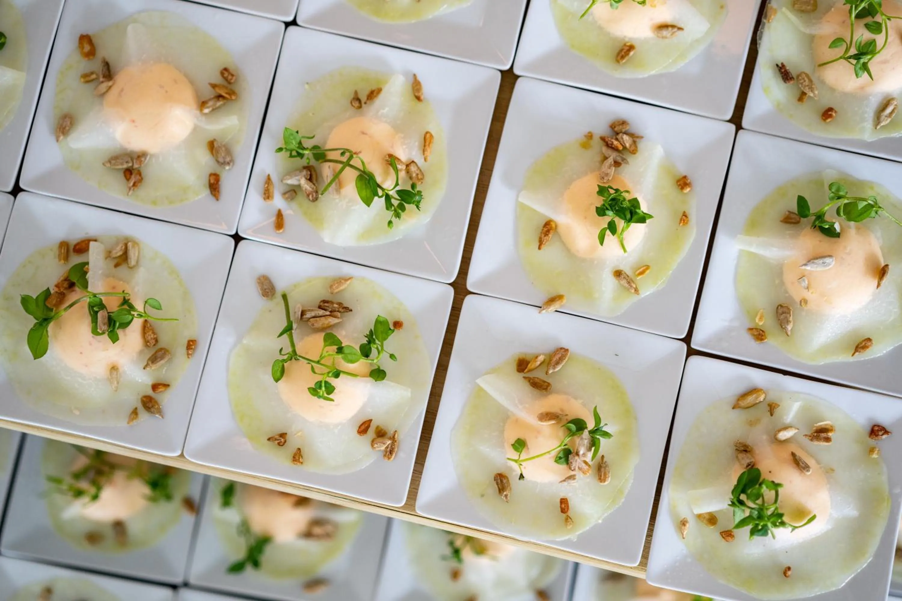 Food in Skanderborg Park