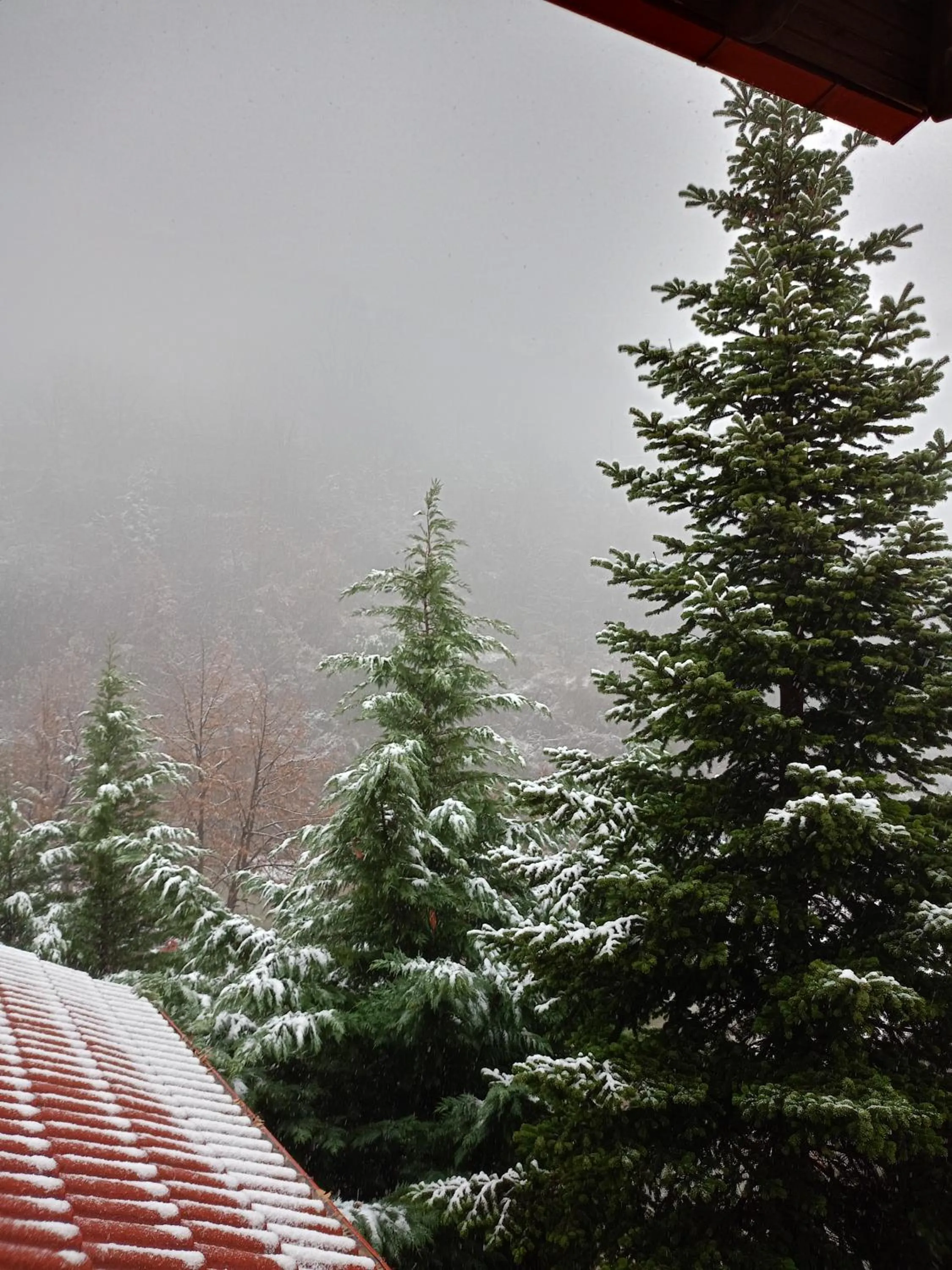 Natural landscape in Hotel Edem