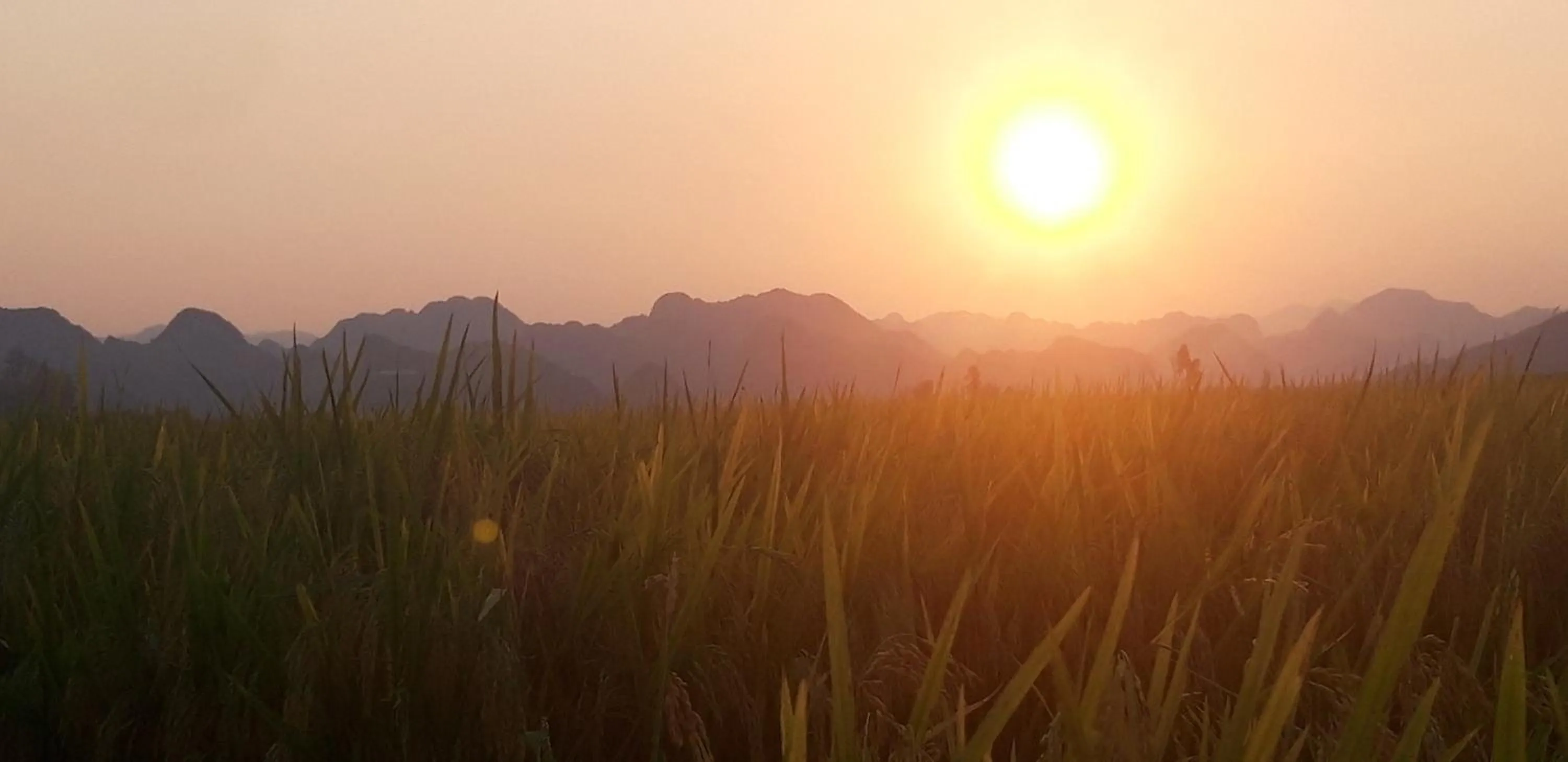 Sunset in Palafita Bungalow