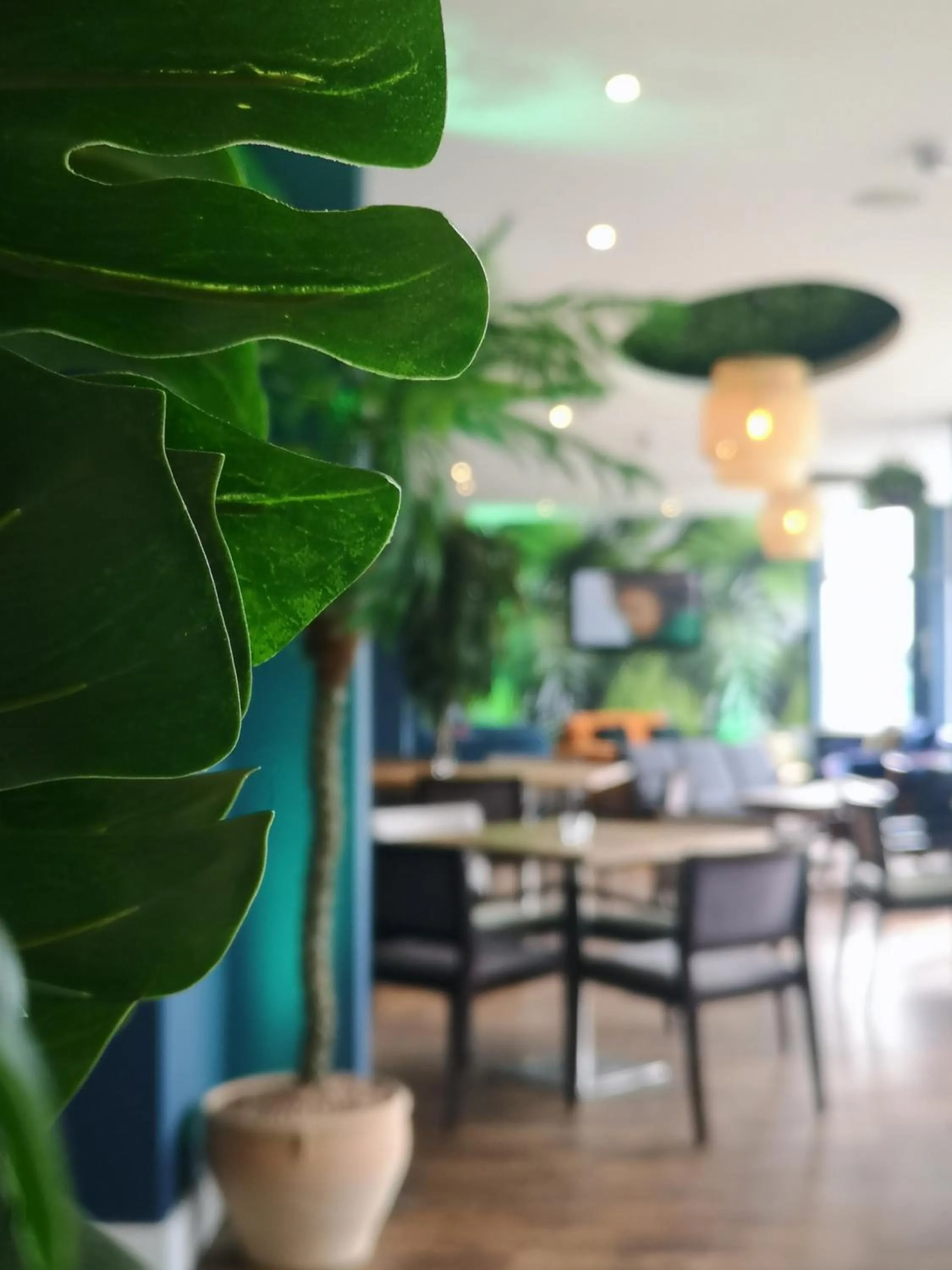 Lounge or bar in Oceanside Lifestyle Hotel