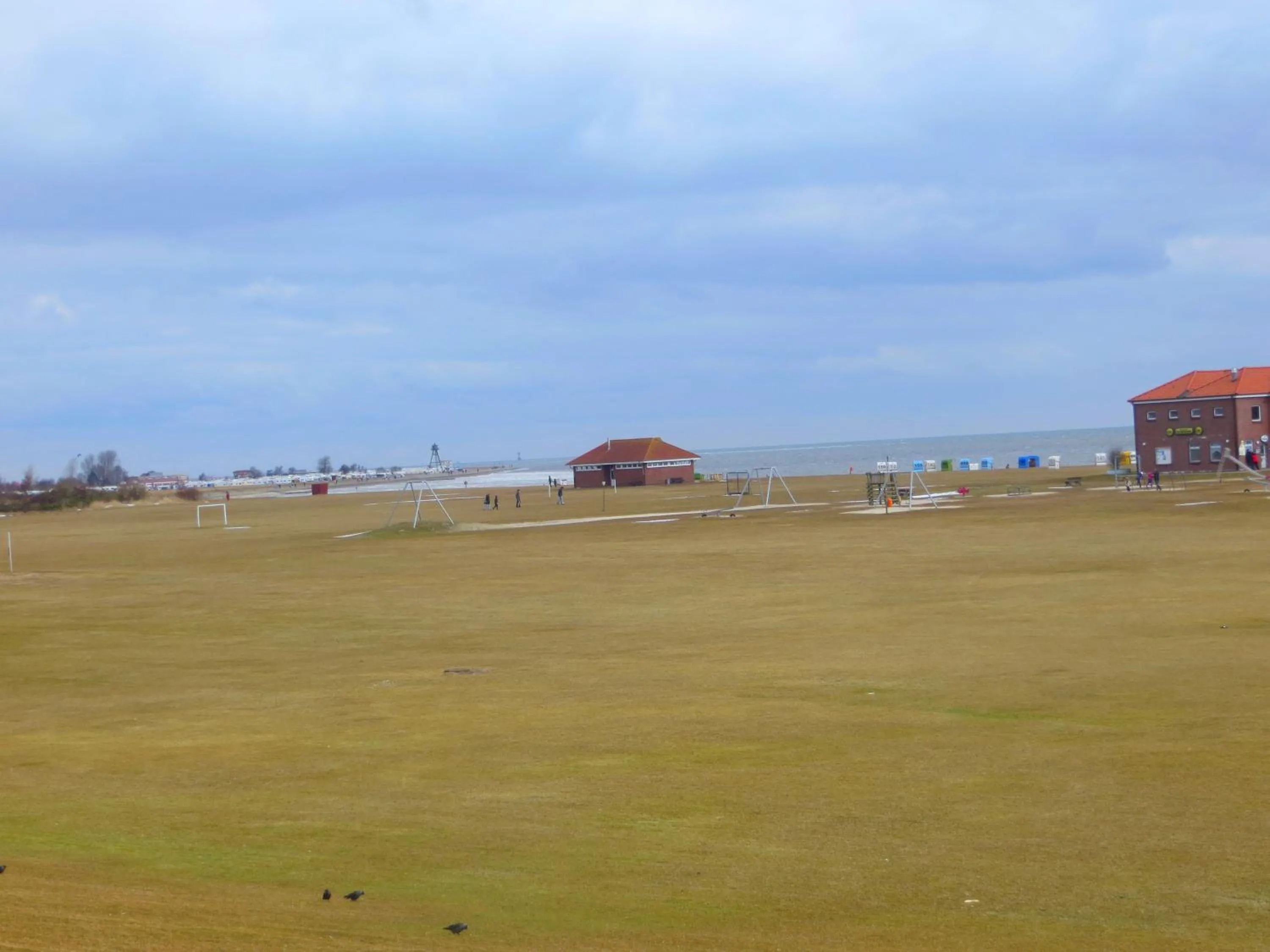 Beach in Strandgerste