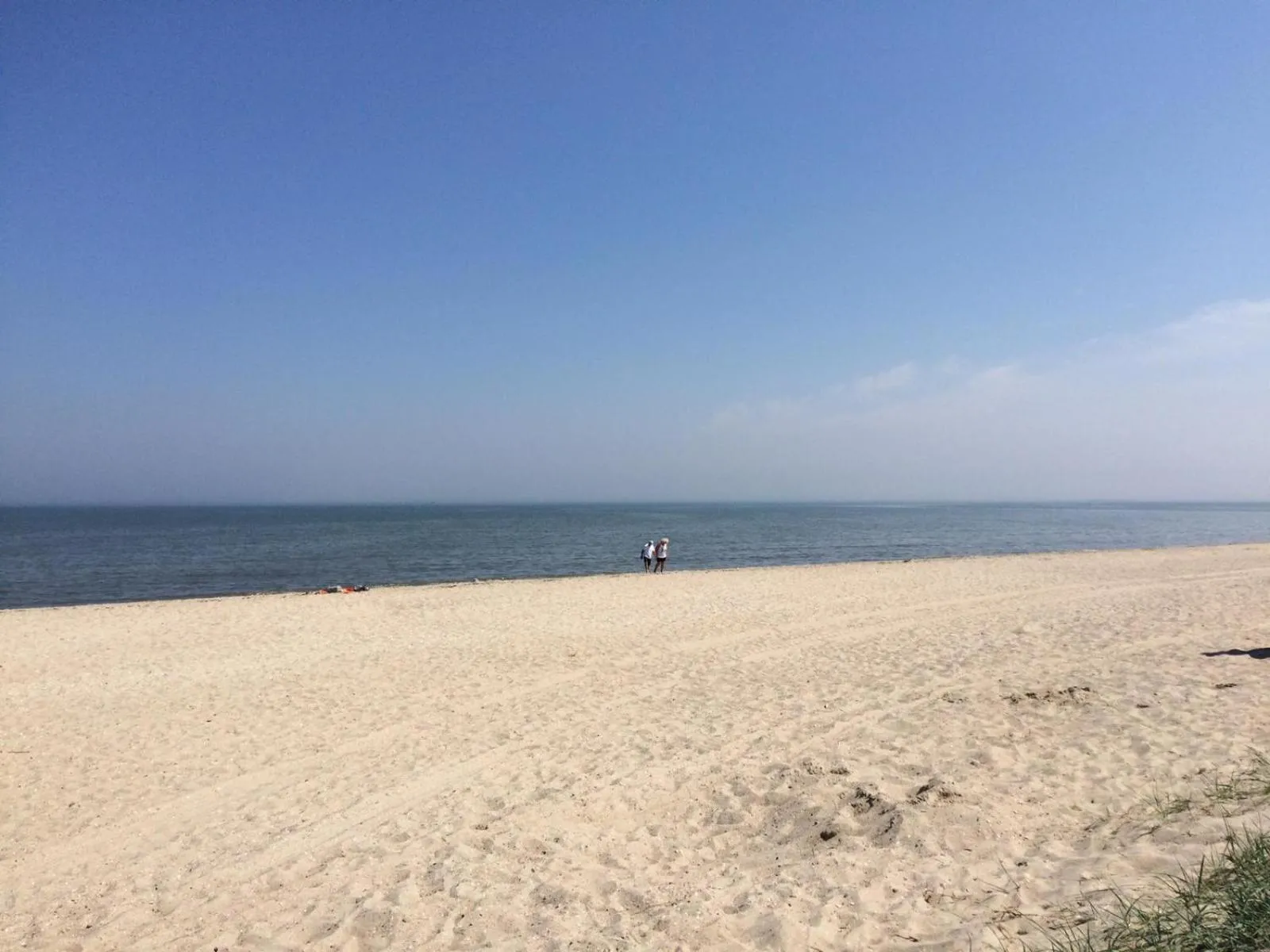 Beach in Strandgerste
