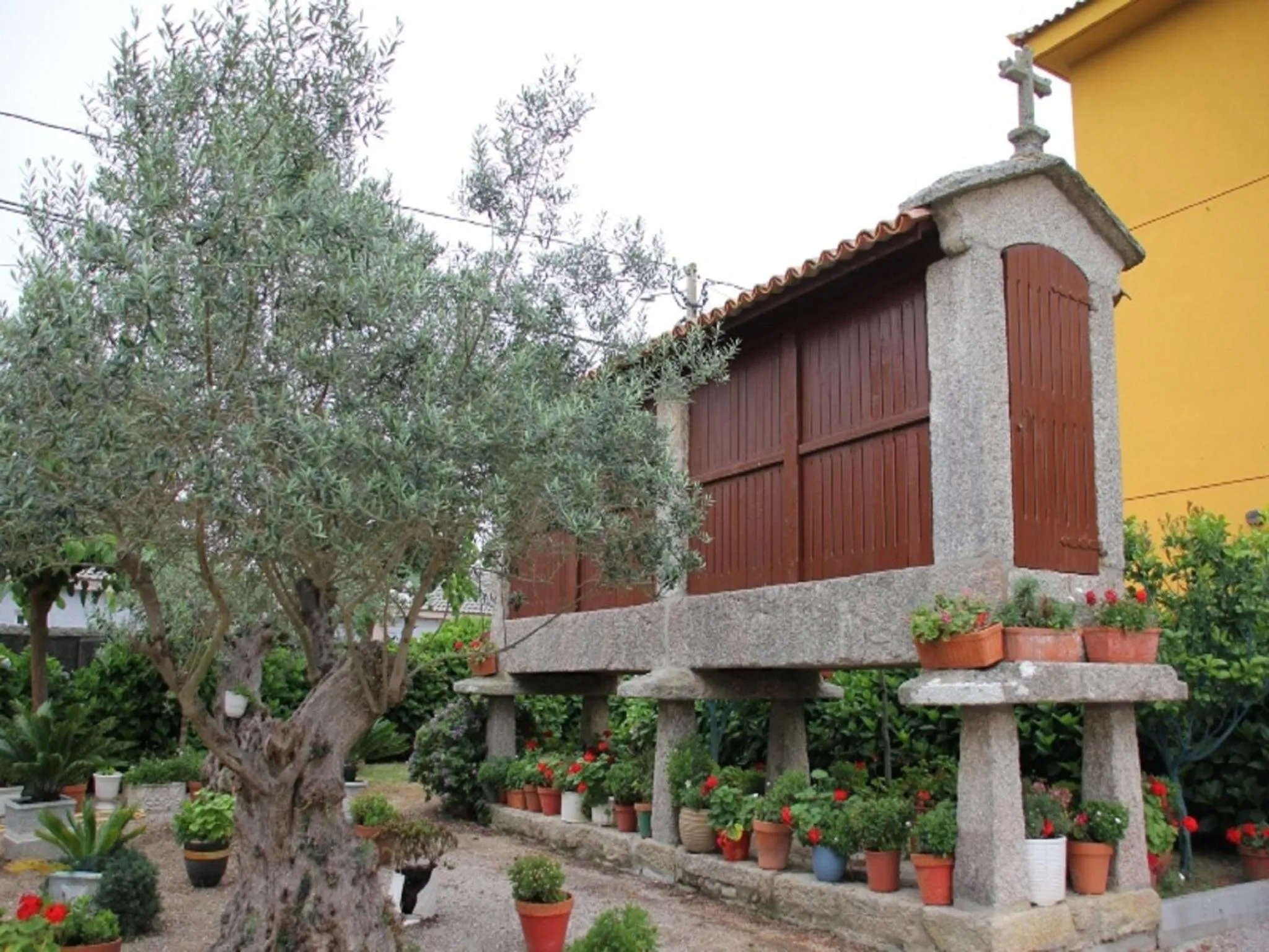 Garden in Hotel Delfin Azul