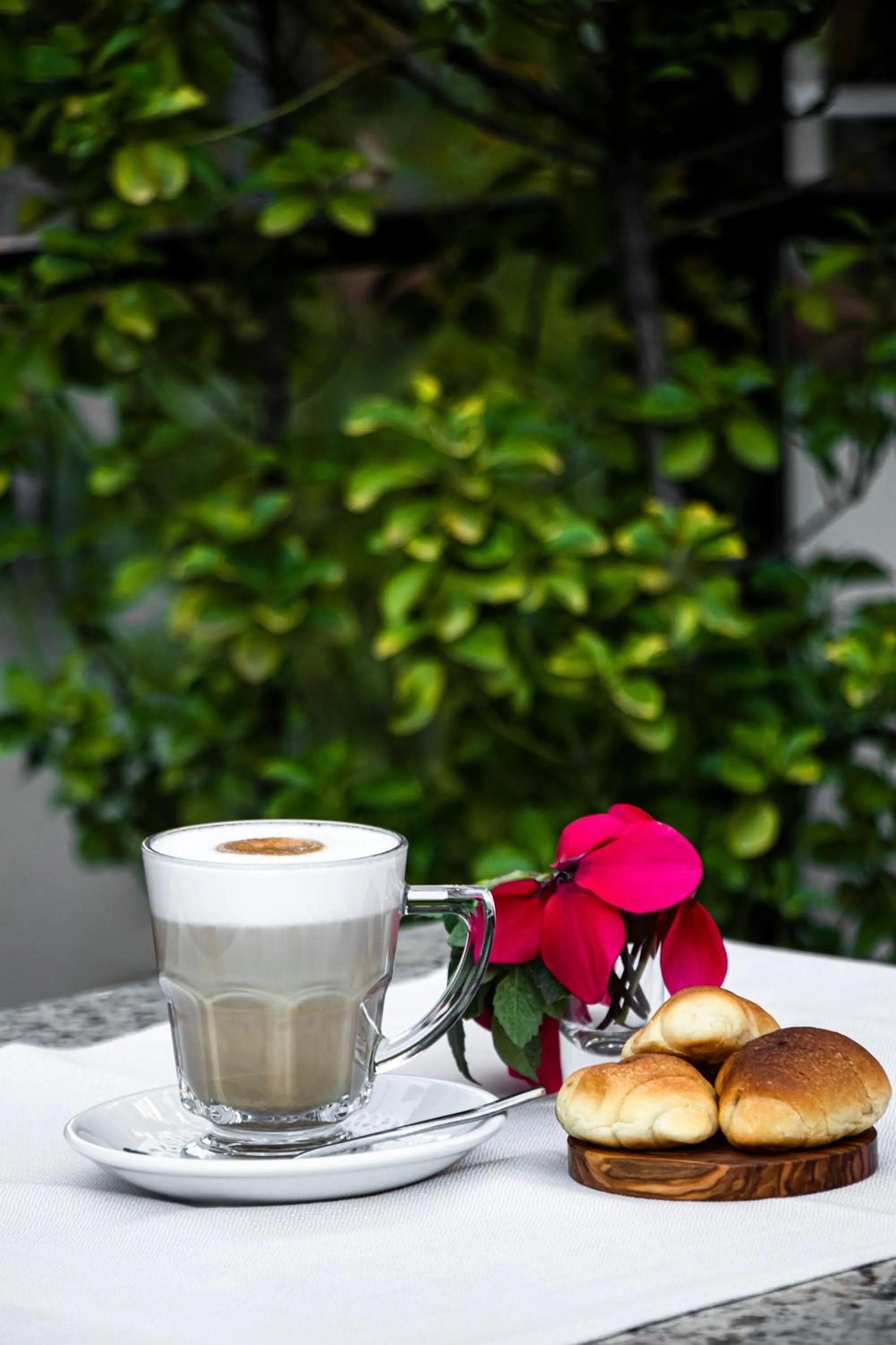 Garden in Hotel Elysee