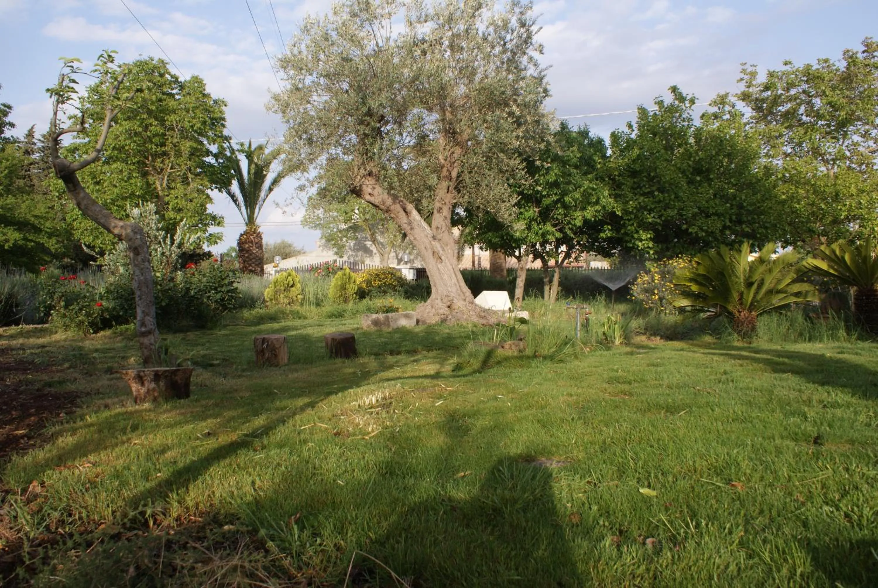 Garden in Giogaia