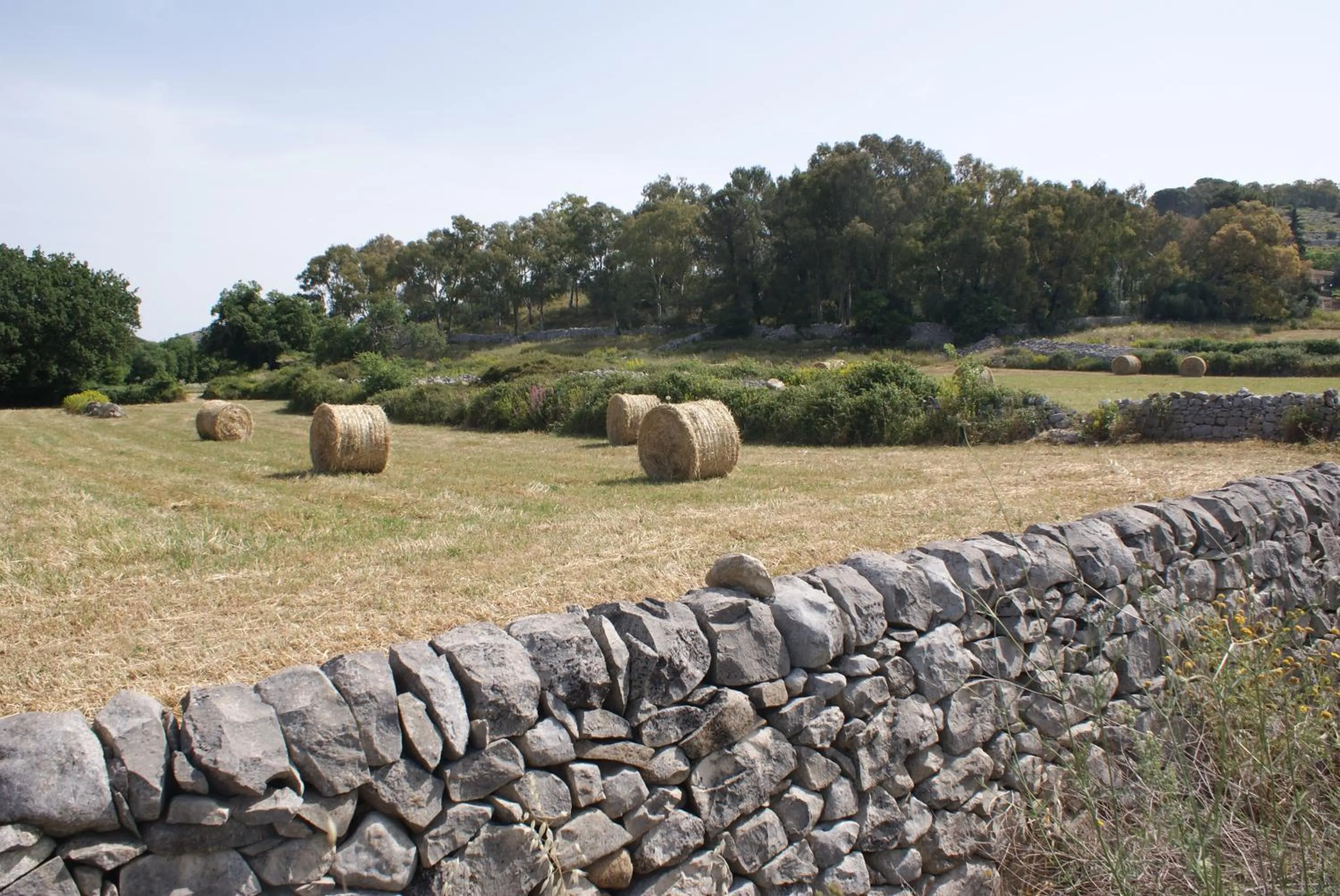 Natural landscape in Giogaia