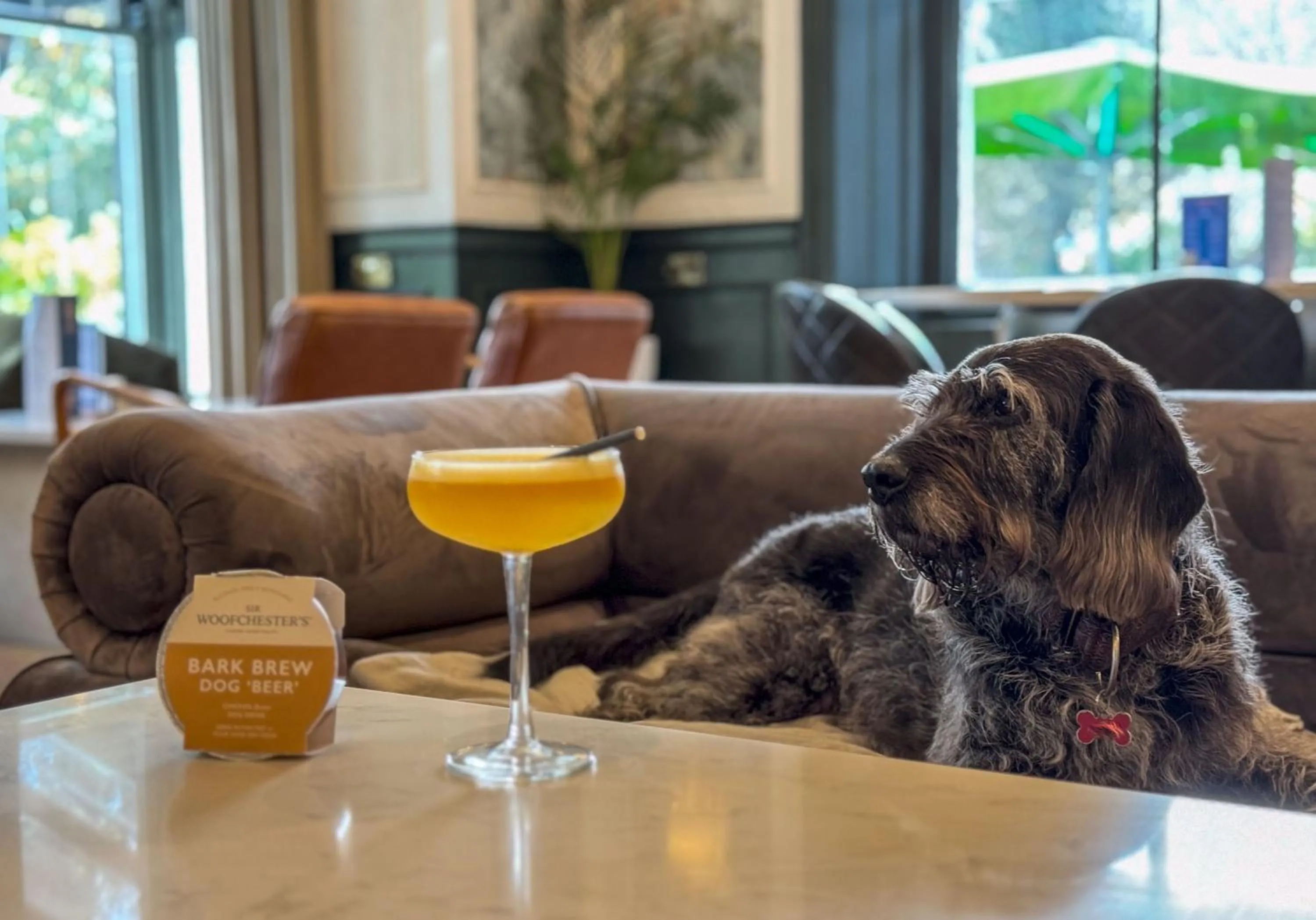 Patio in Gwydyr Hotel