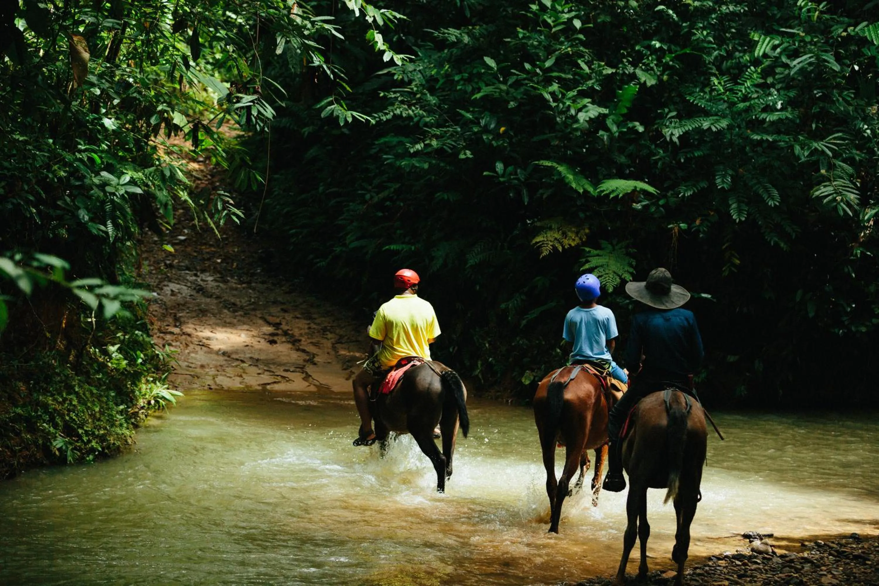 Natural landscape in Hotel La Mariposa