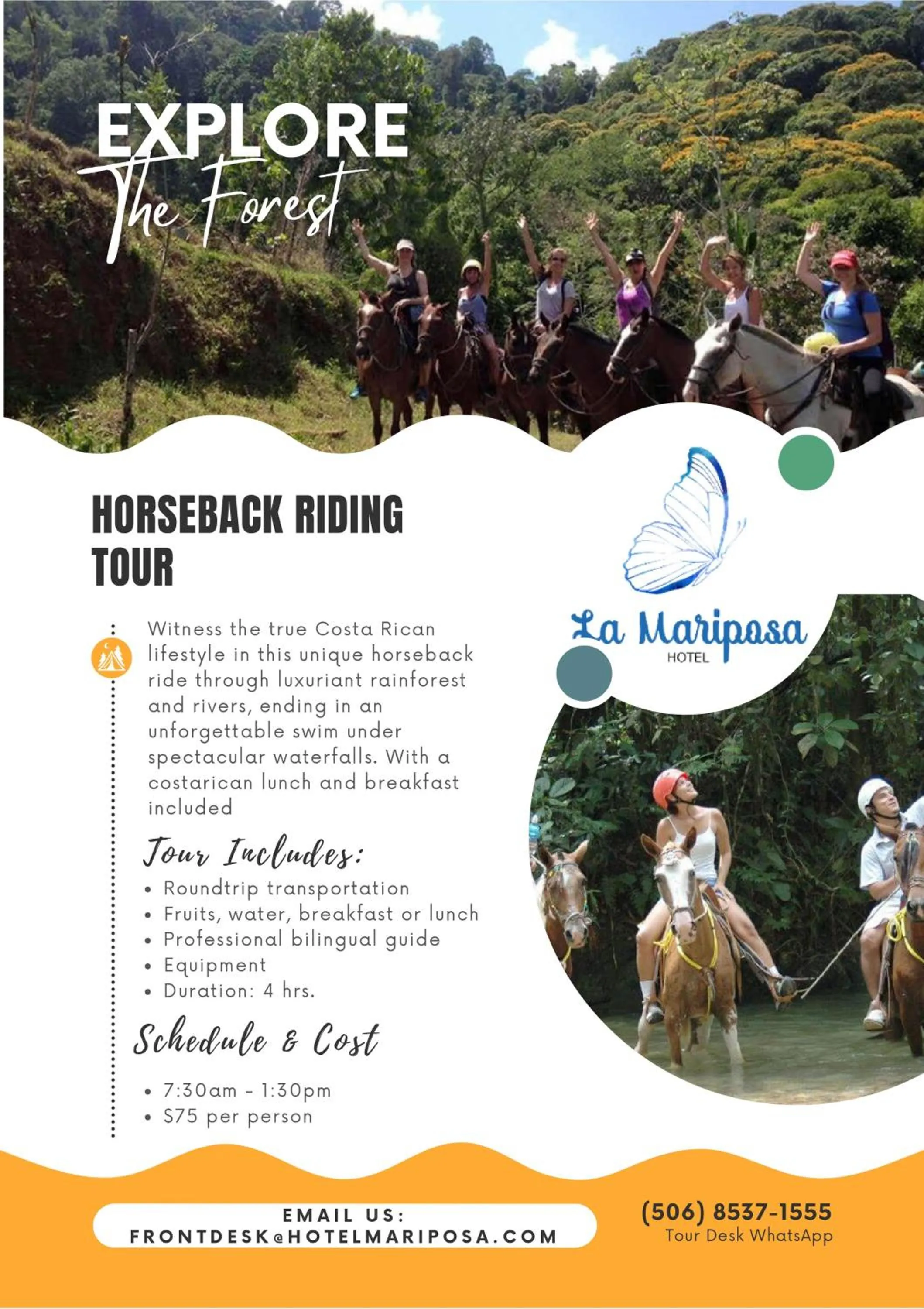 Activities in Hotel La Mariposa