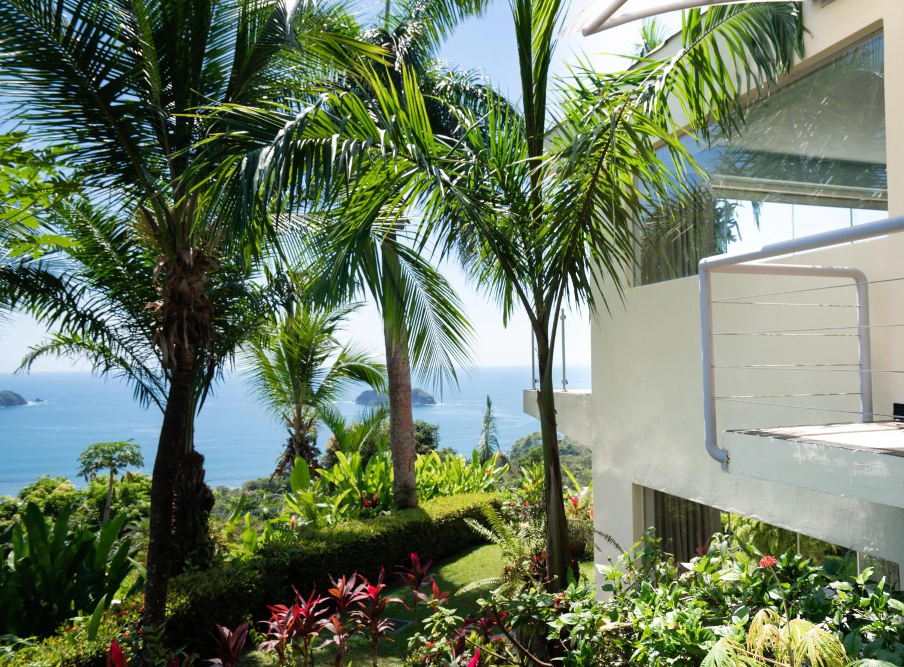 Natural landscape in Hotel La Mariposa