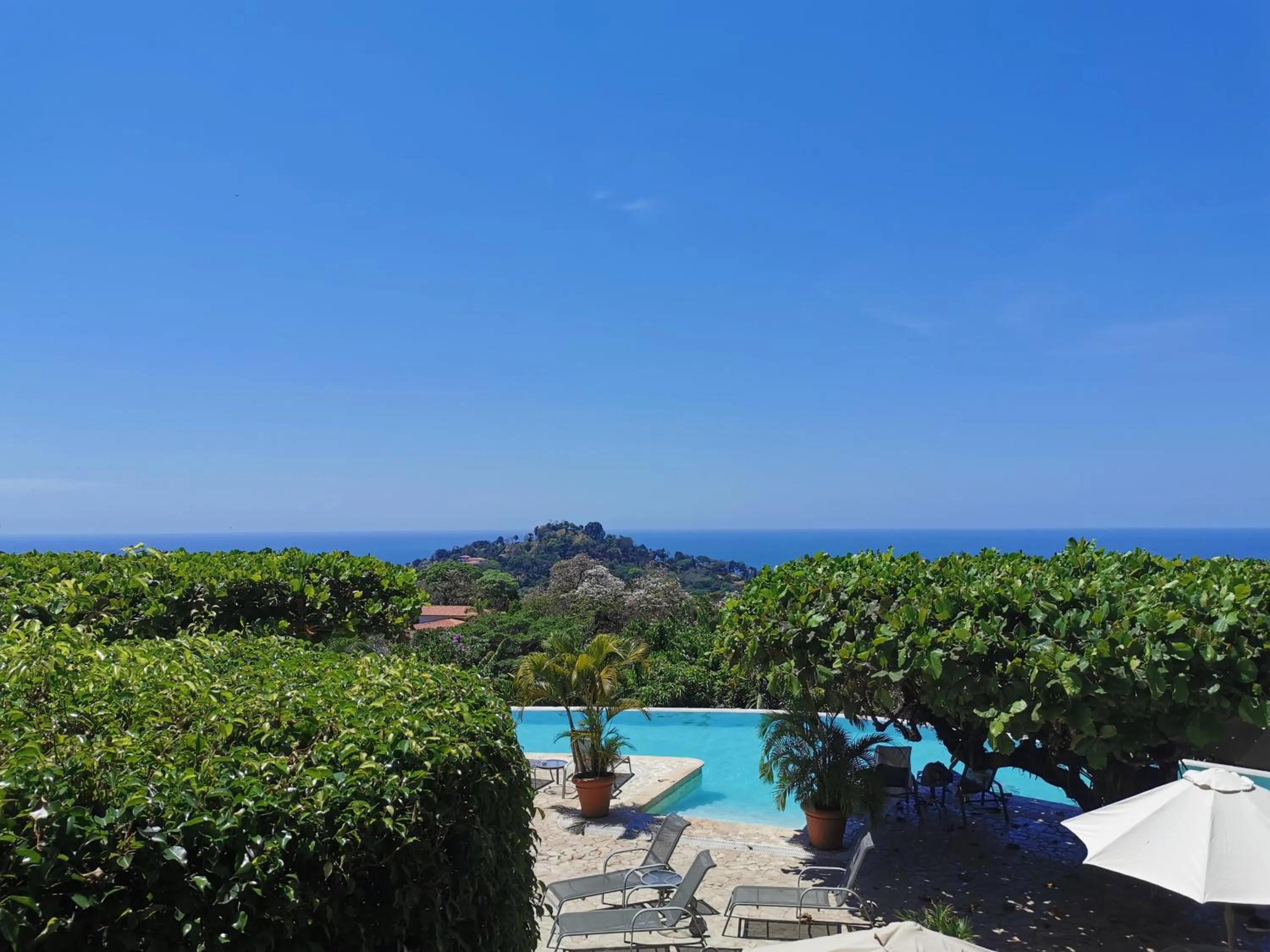 Day in Hotel La Mariposa