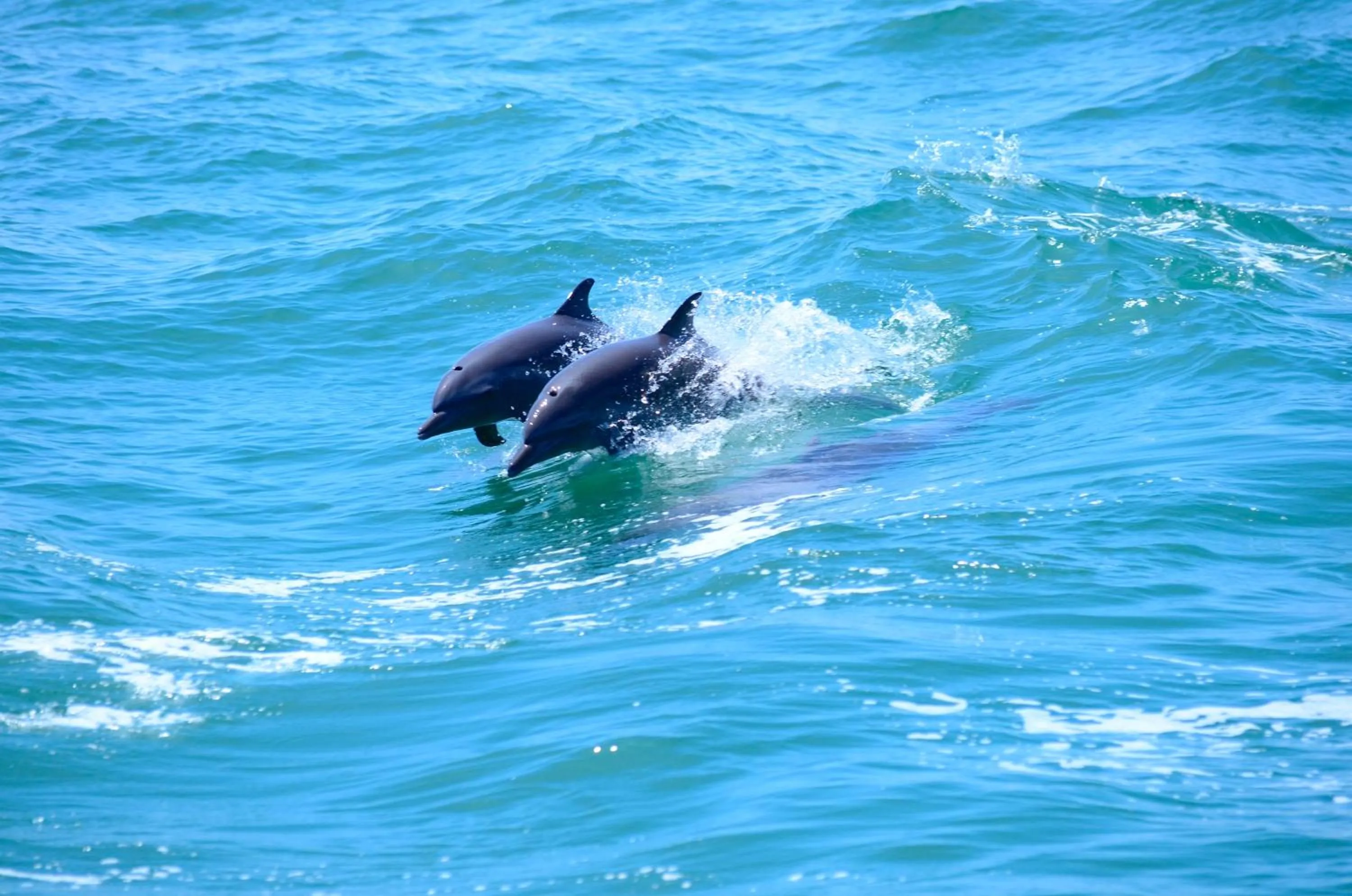Natural landscape in Hotel La Mariposa
