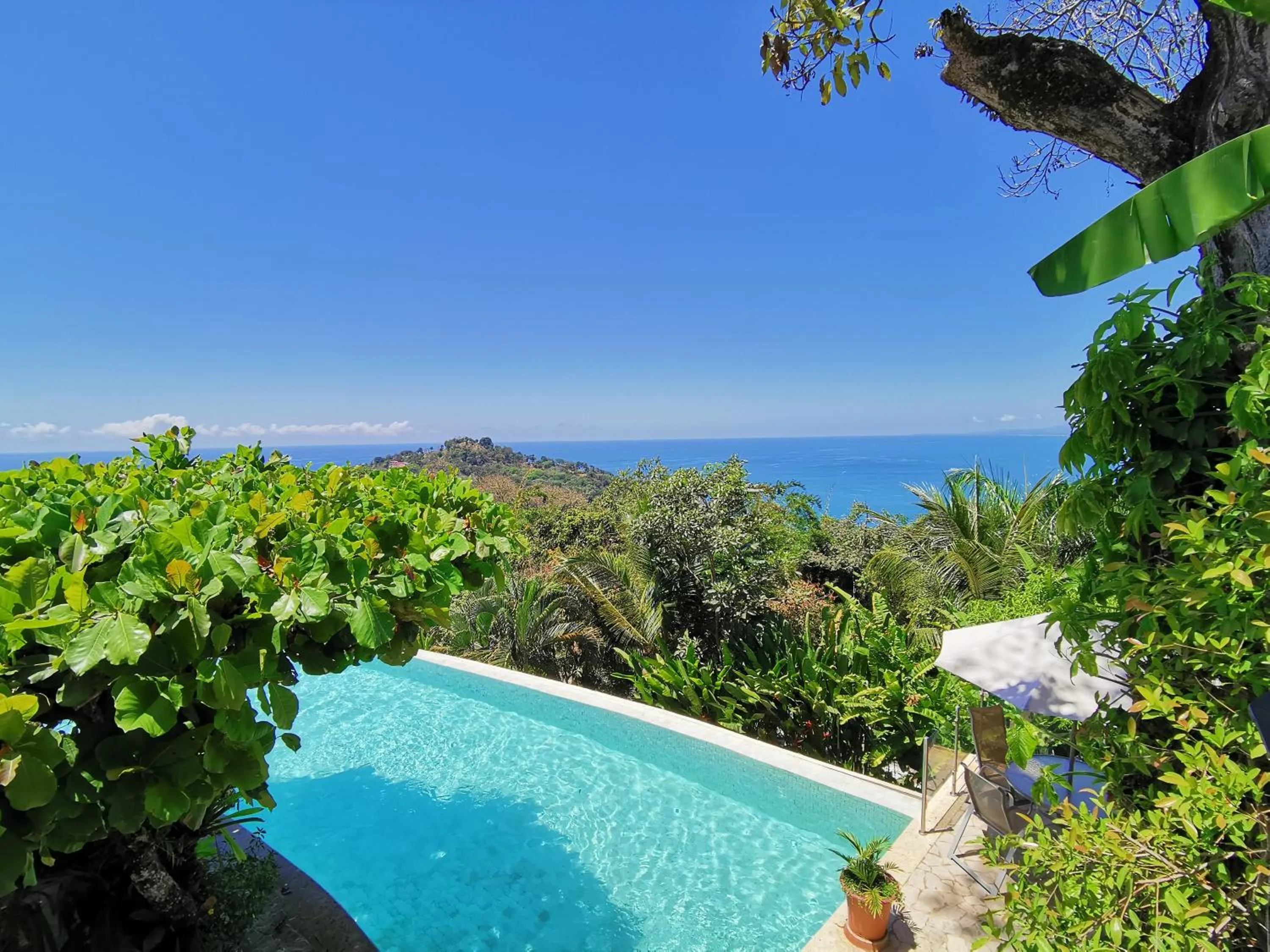 Swimming pool in Hotel La Mariposa