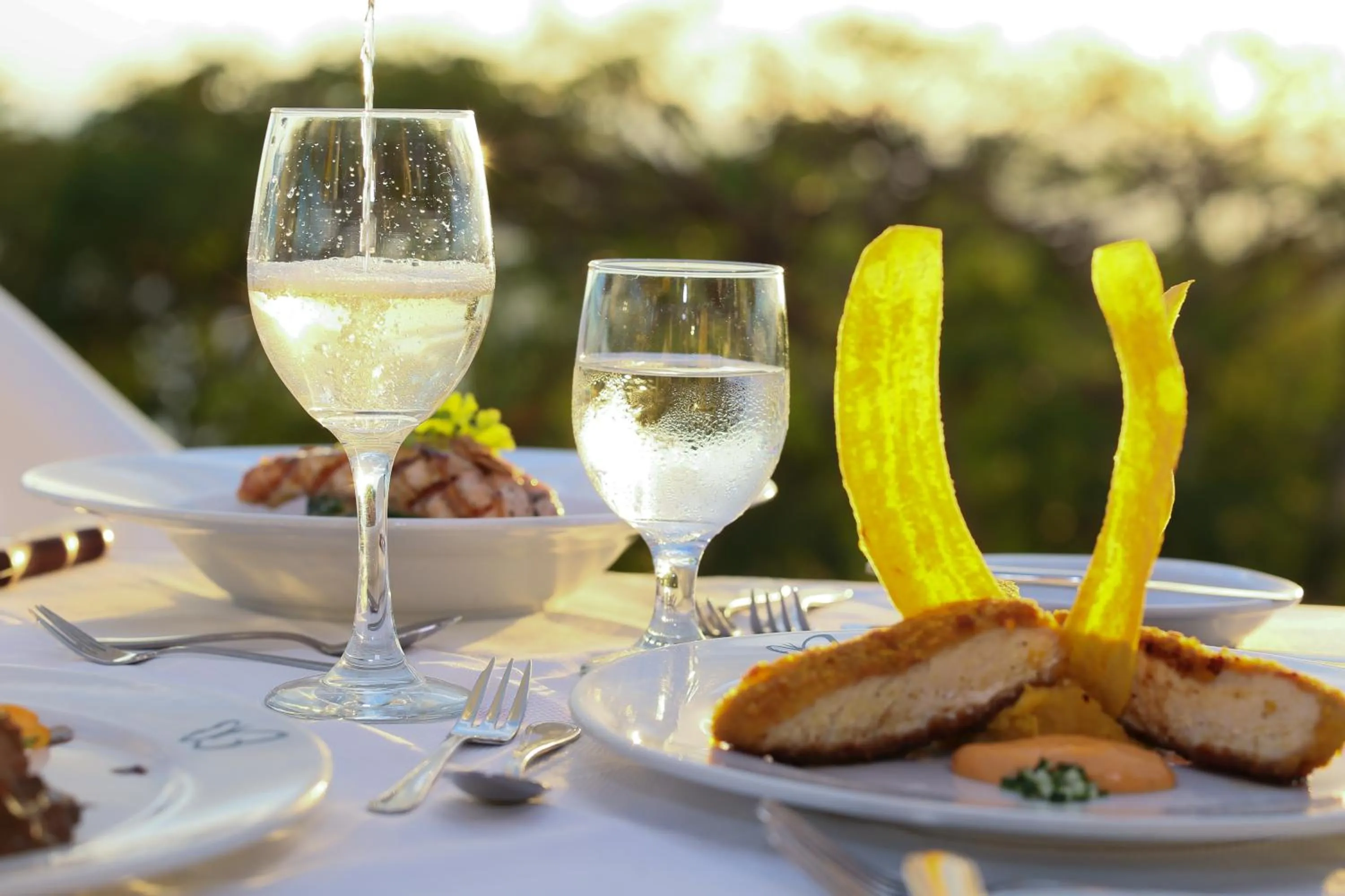 Food and drinks in Hotel La Mariposa