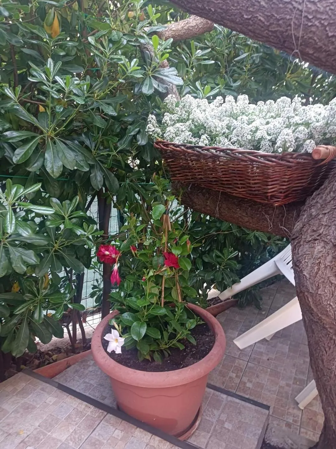 Breakfast in B&B Ninni