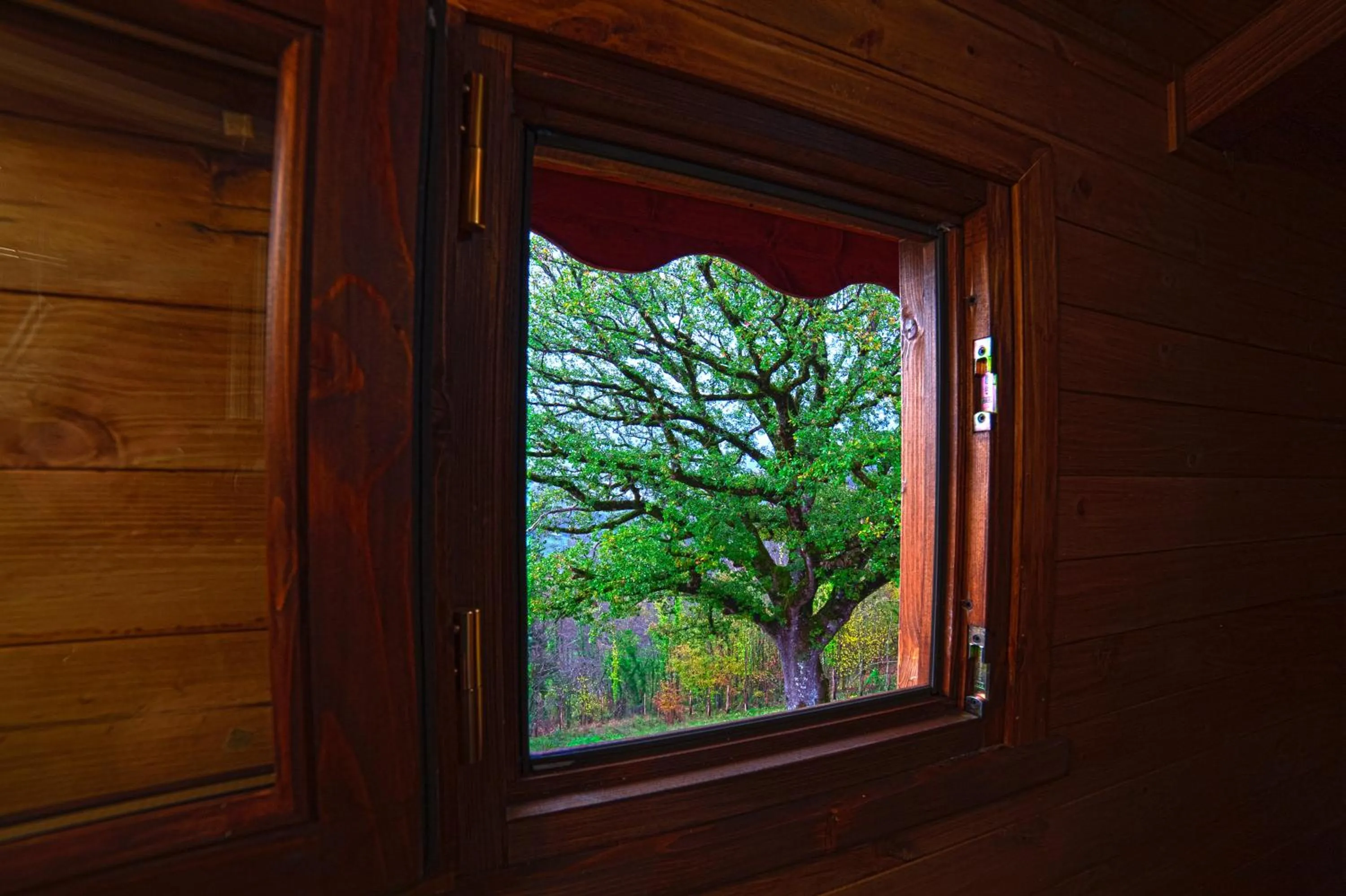 Bathroom in Casa sull'albero Bocchineri