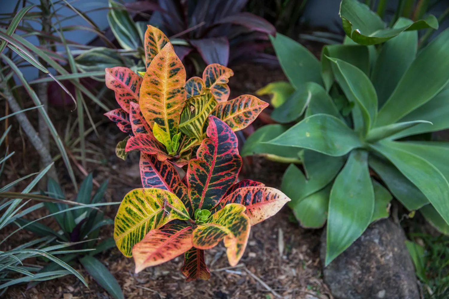 Spring in Bayhaven Lodge