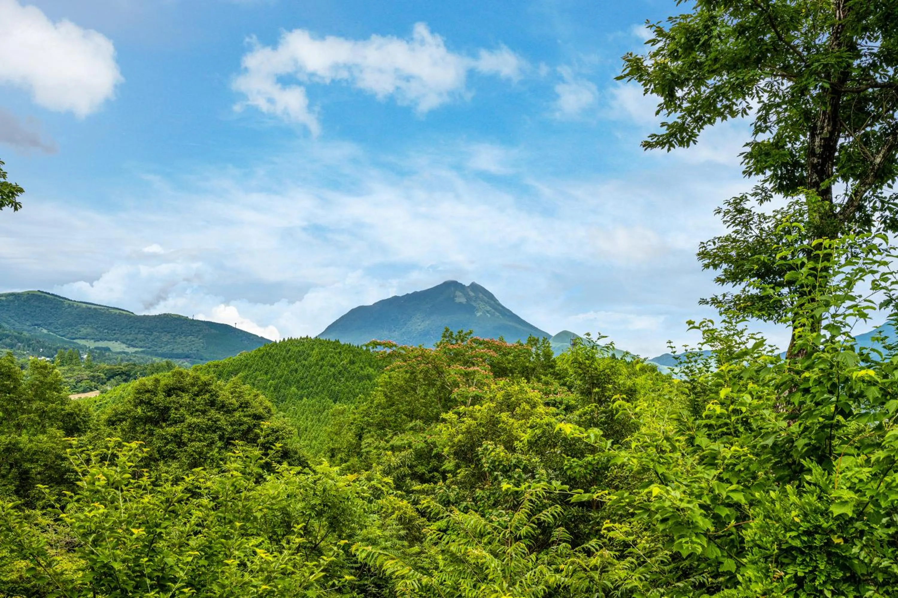 Day in Kusayane no yado Ryunohige