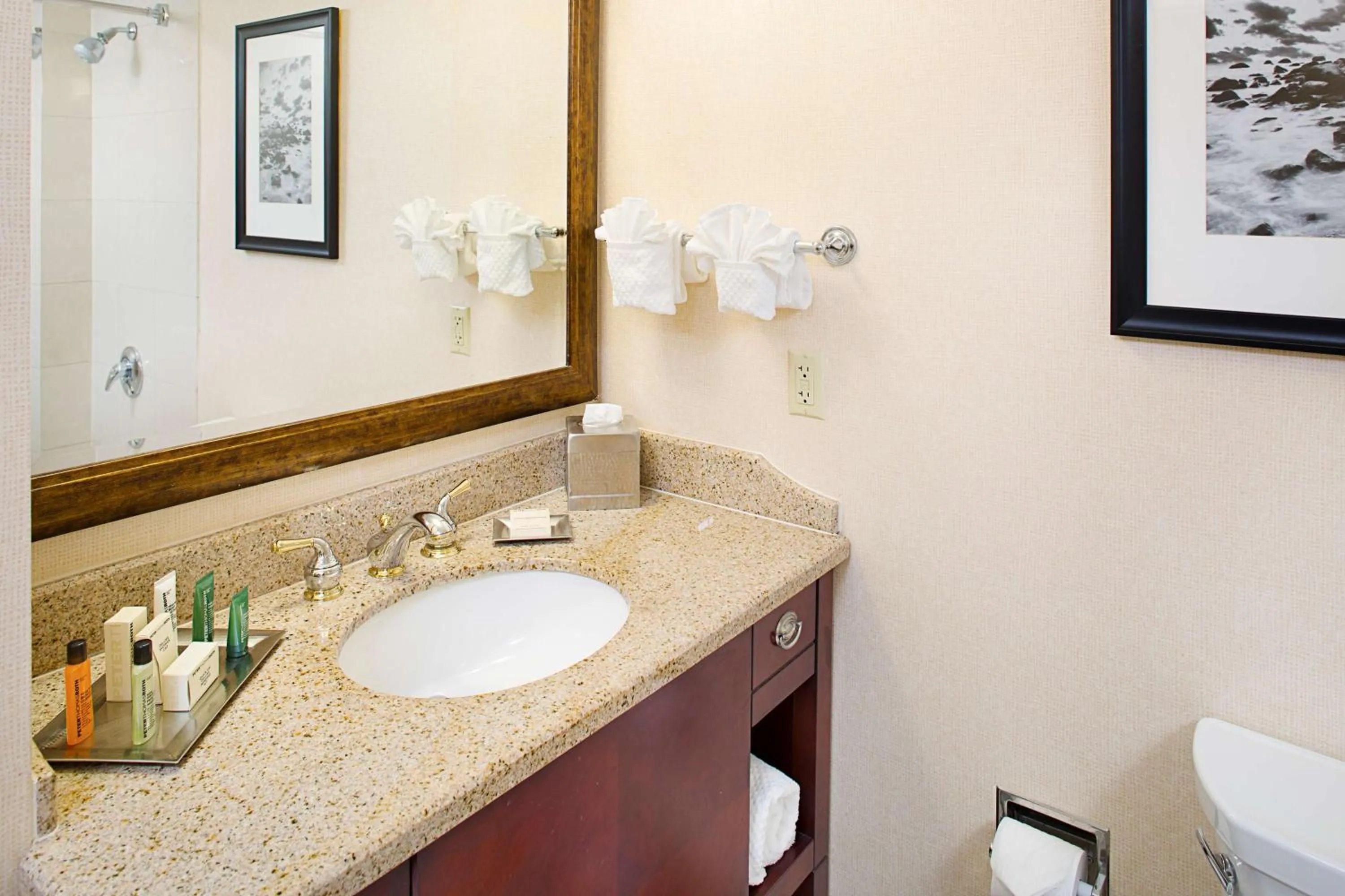 Bathroom in Hilton Providence