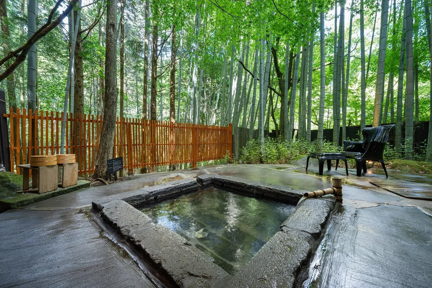 Hot Spring Bath in Nihon-no-Ashitaba
