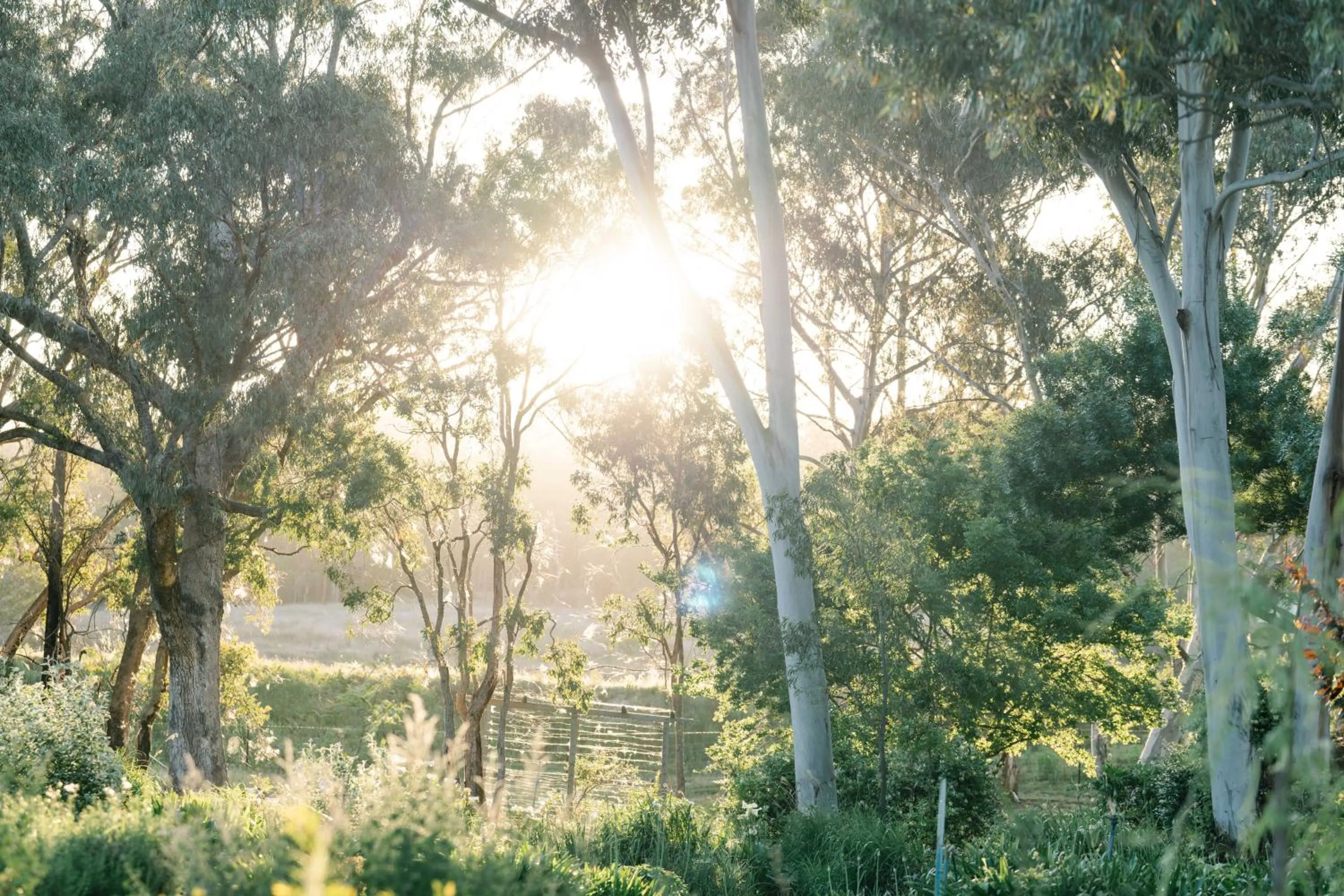 Granite Gardens Cottages & Lake Retreat