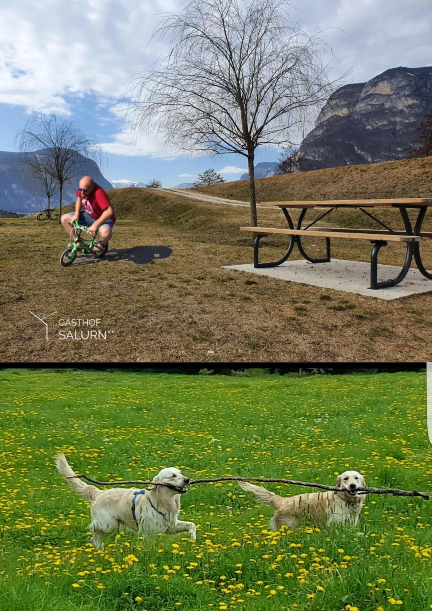 Summer in Gasthof Salurn