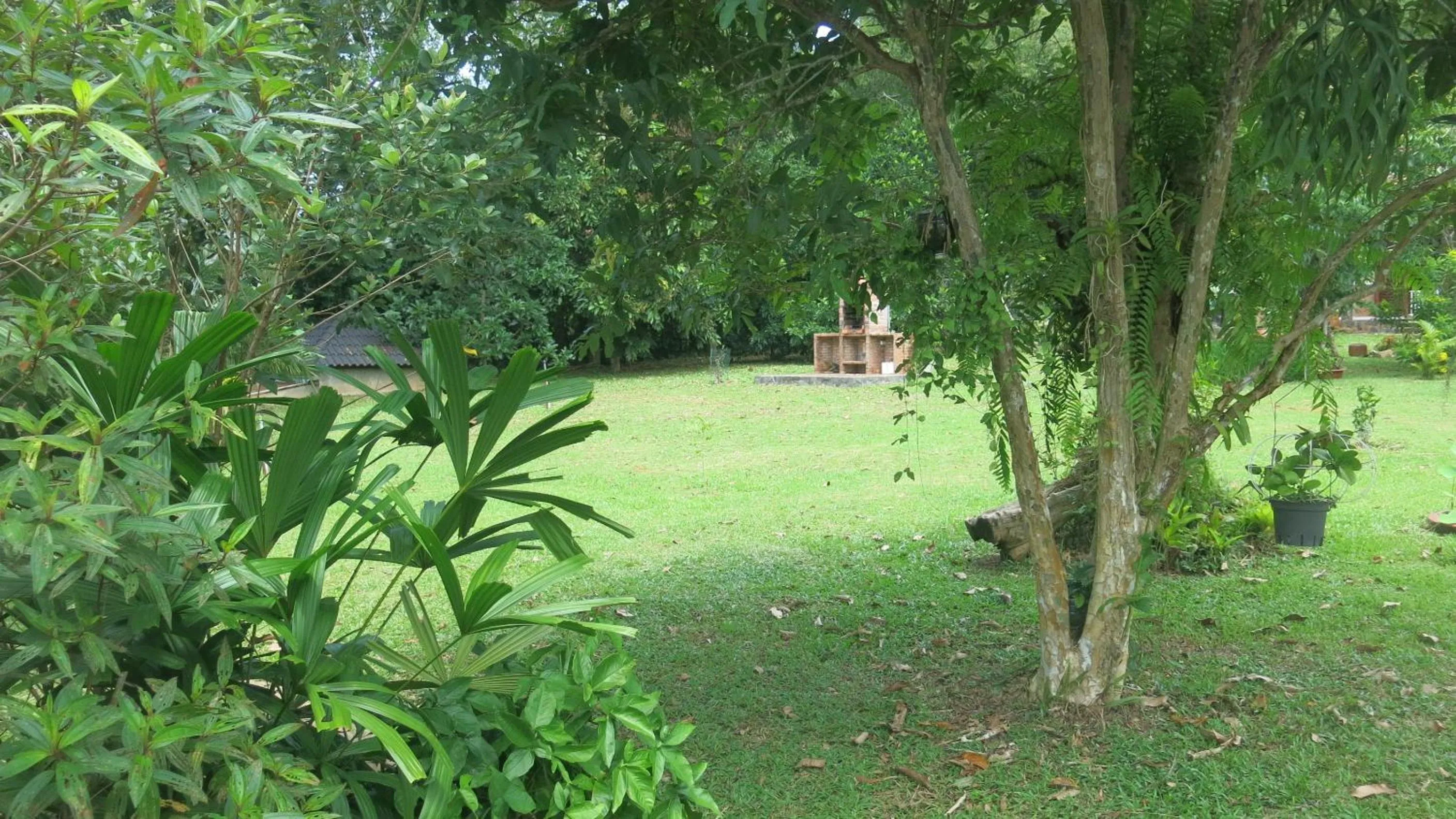 Garden in Phu Quoc Private Villa