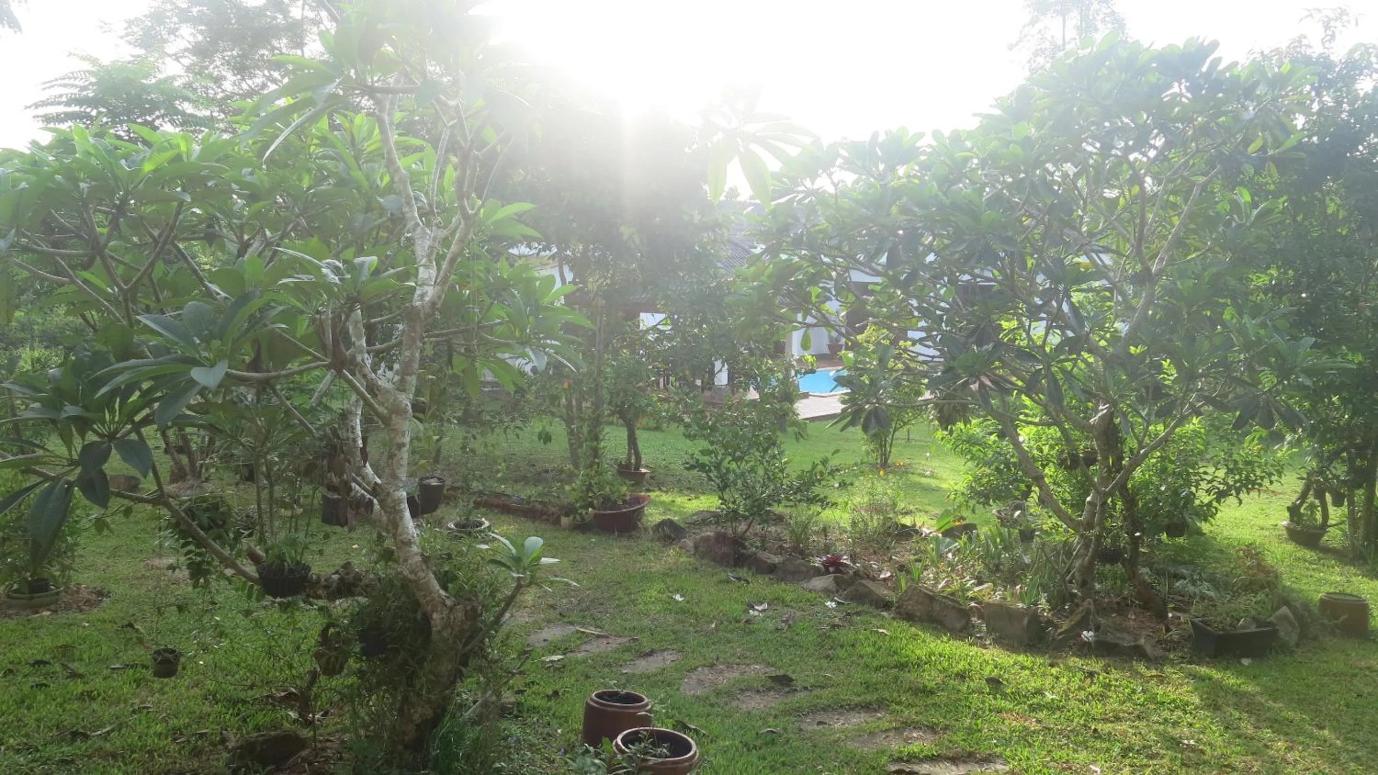 Garden in Phu Quoc Private Villa